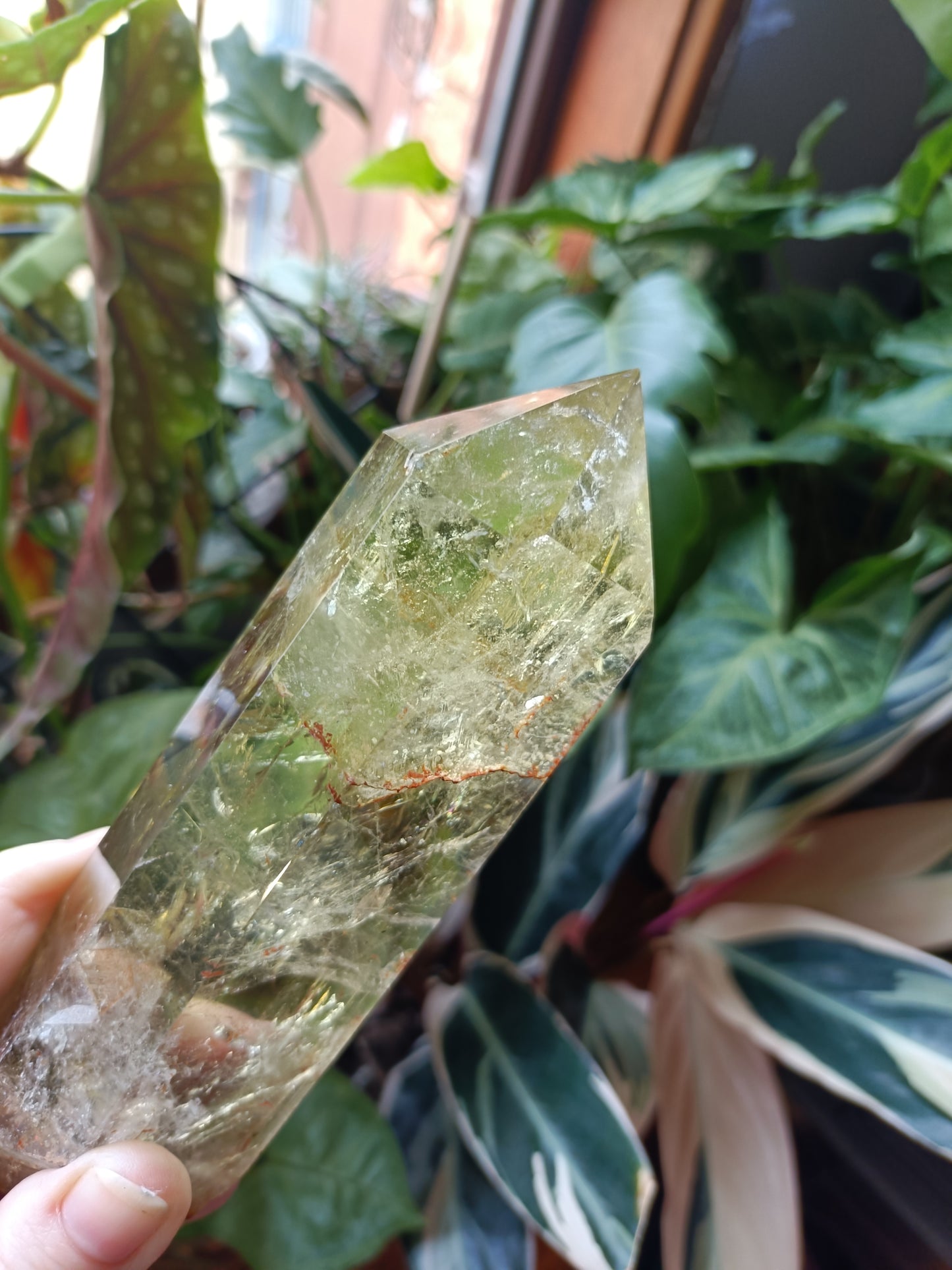 Citrine Point with Custom Stand - 425g