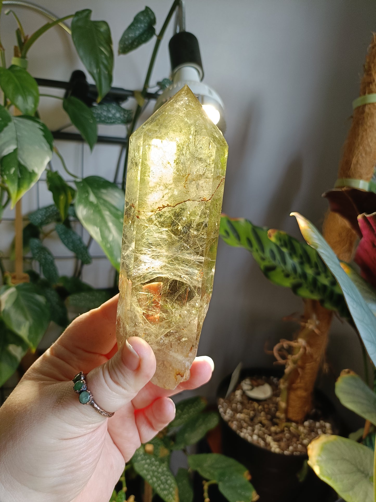 Citrine Point with Custom Stand - 425g