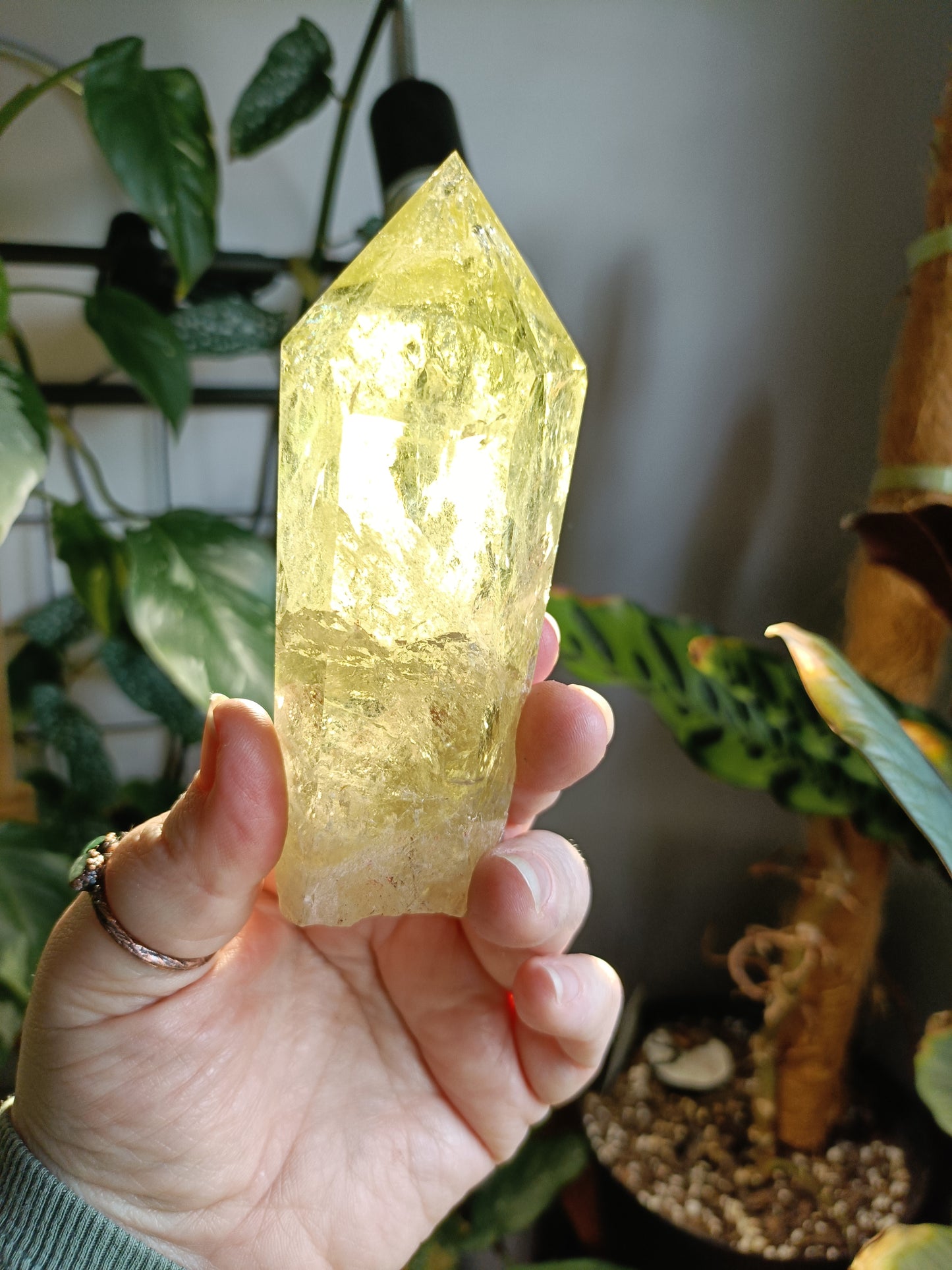 Citrine Point with Custom Stand - 307g