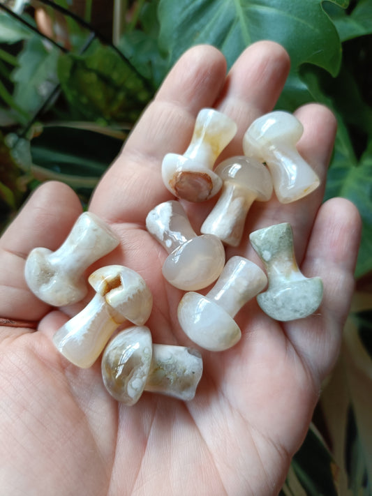 Pink Flower Agate Mini Mushrooms - 8-12g