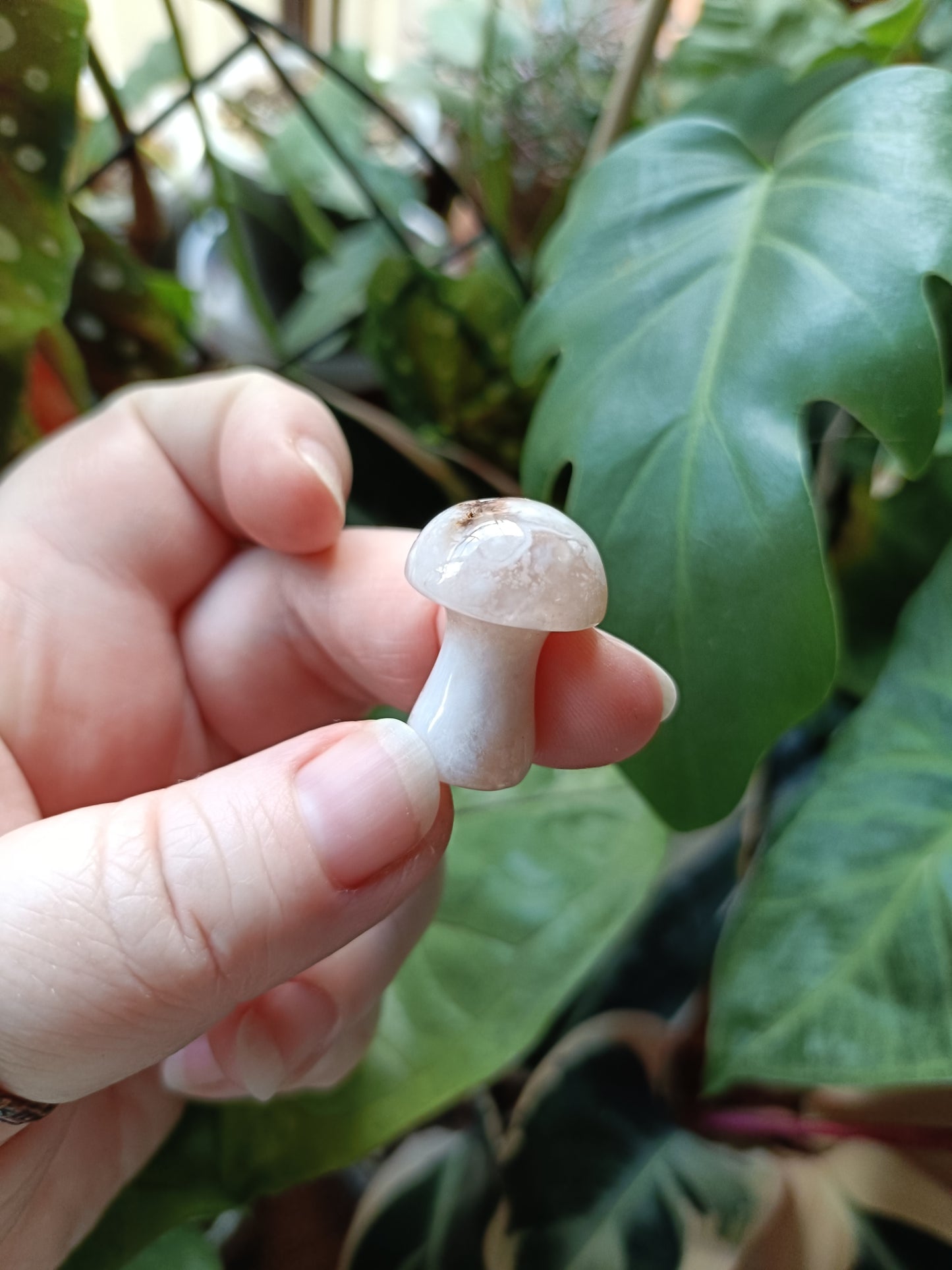 Pink Flower Agate Mini Mushrooms - 8-12g