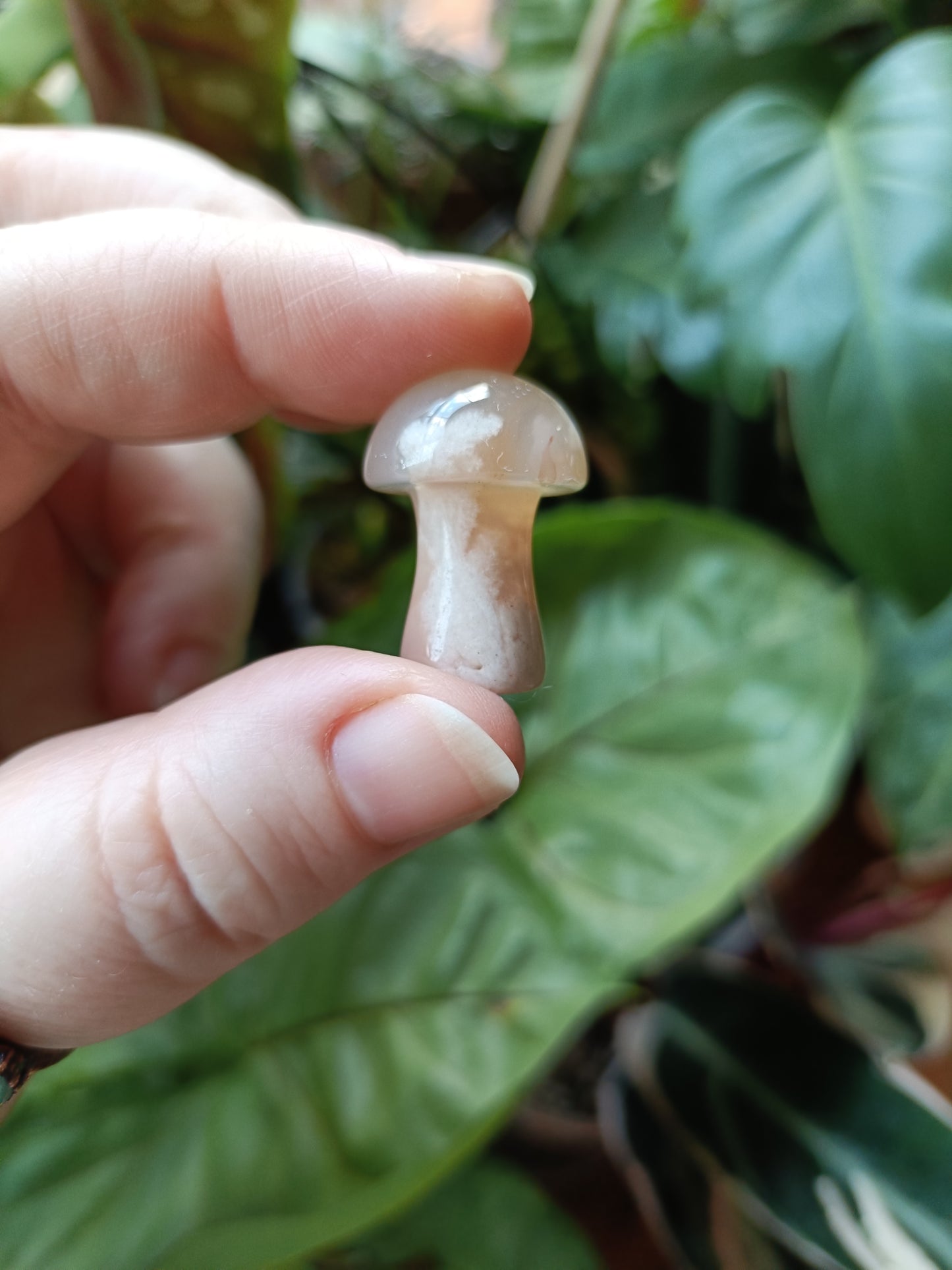 Pink Flower Agate Mini Mushrooms - 8-12g