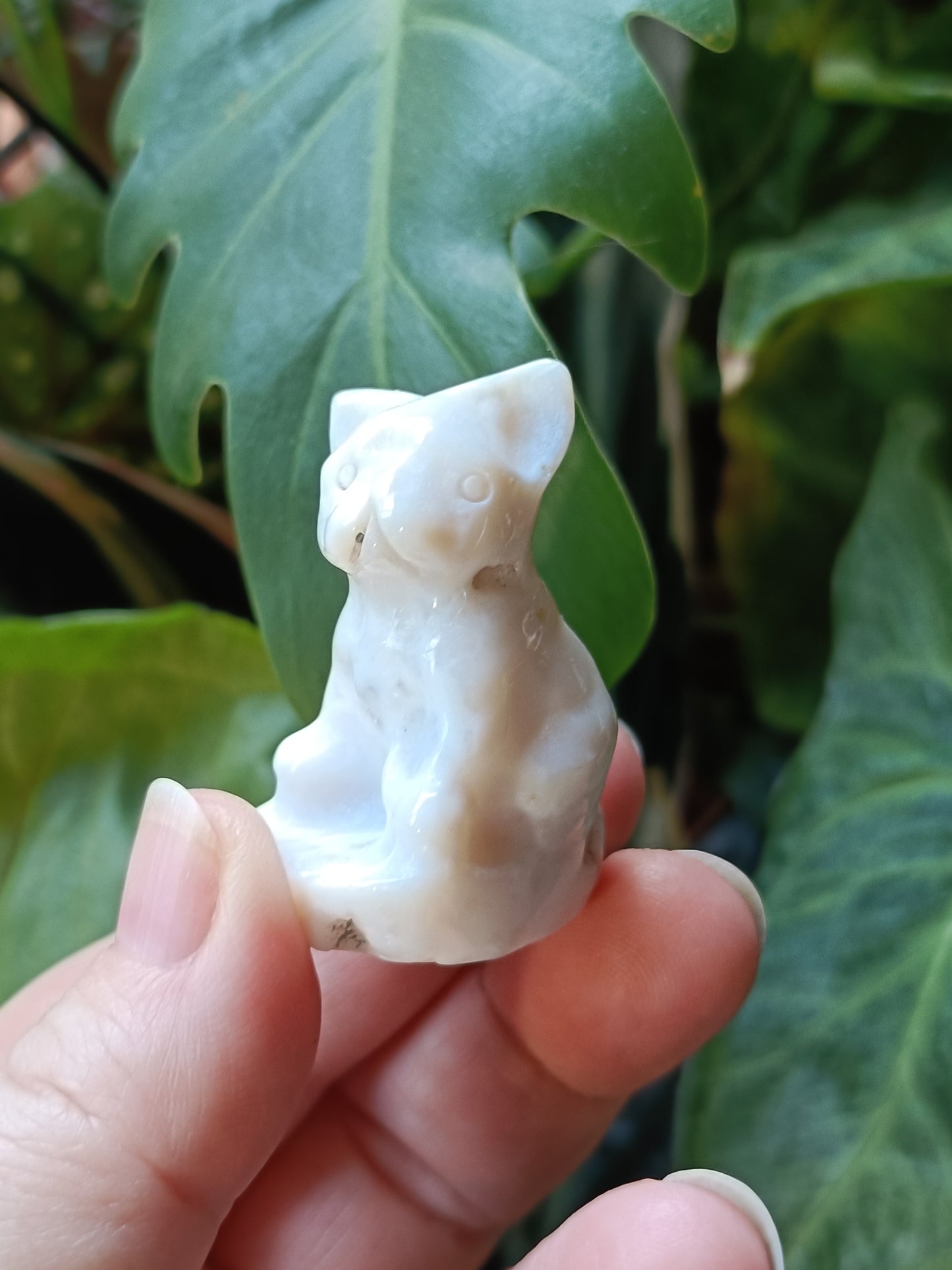 Agate Mini French Bulldog Carving - 30-35g
