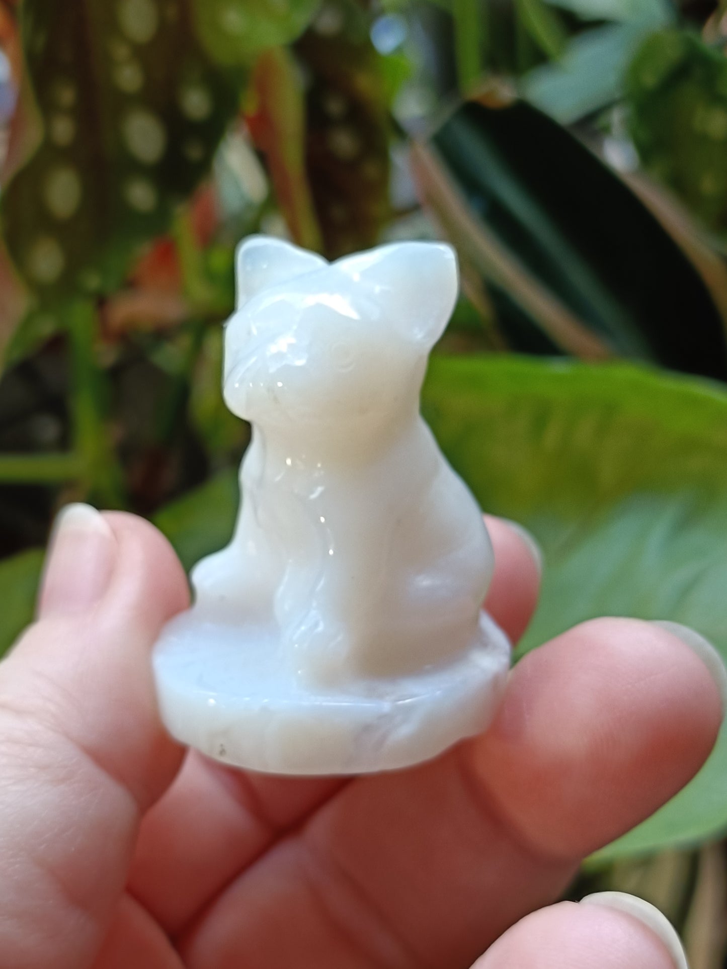 Agate Mini French Bulldog Carving - 30-35g