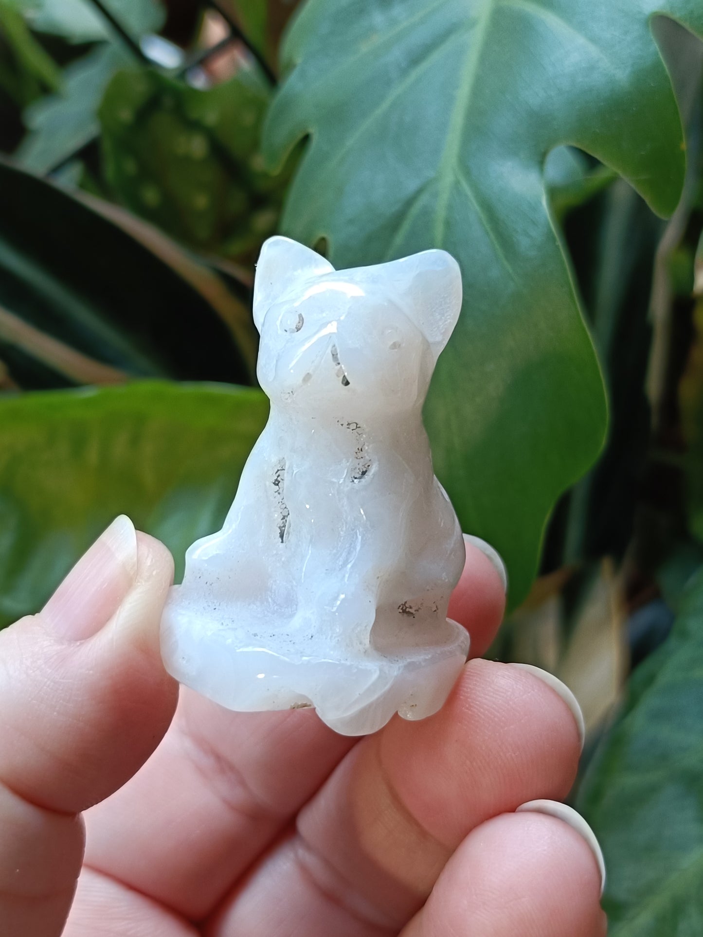 Agate Mini French Bulldog Carving - 30-35g