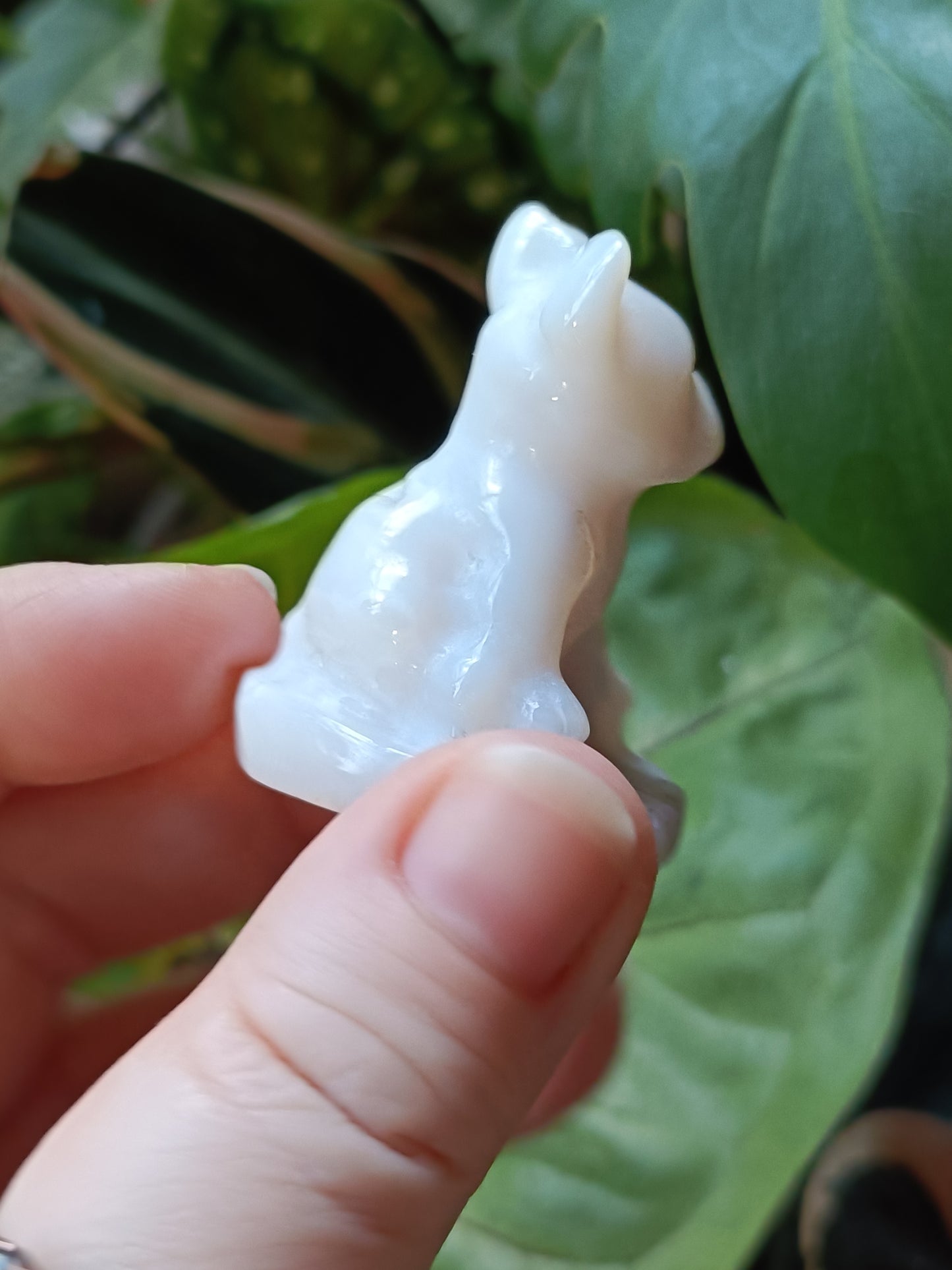 Agate Mini French Bulldog Carving - 30-35g