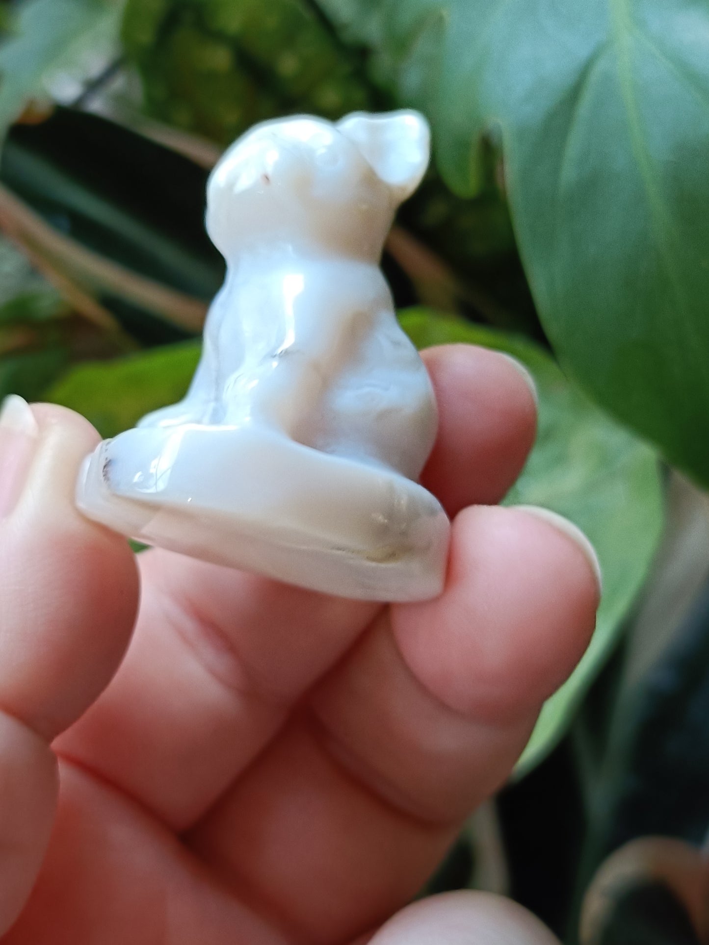 Agate Mini French Bulldog Carving - 30-35g