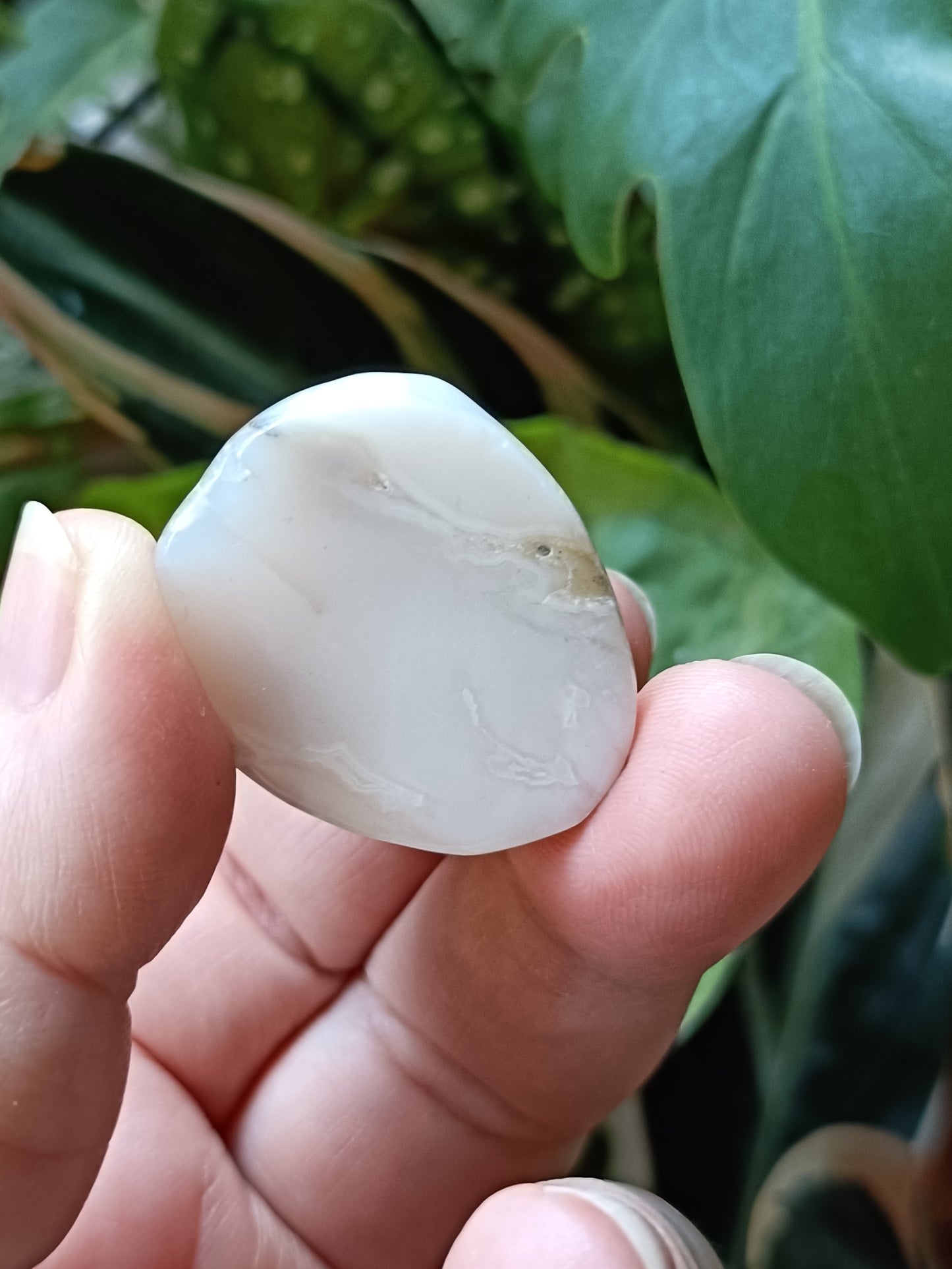 Agate Mini French Bulldog Carving - 30-35g