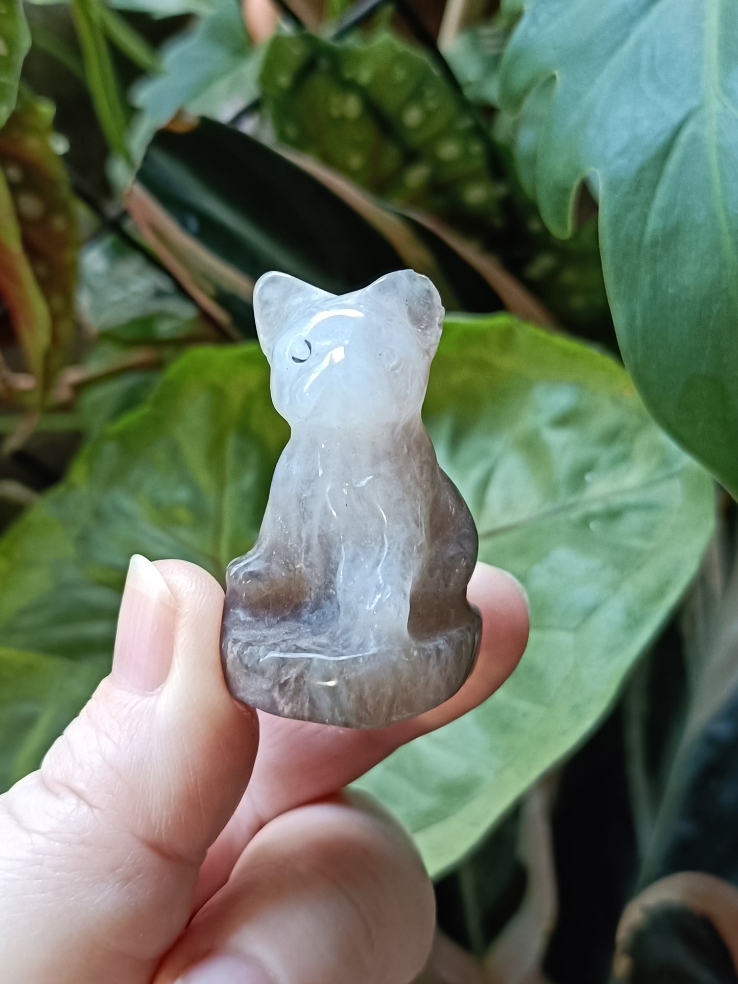 Agate Mini French Bulldog Carving - 30-35g