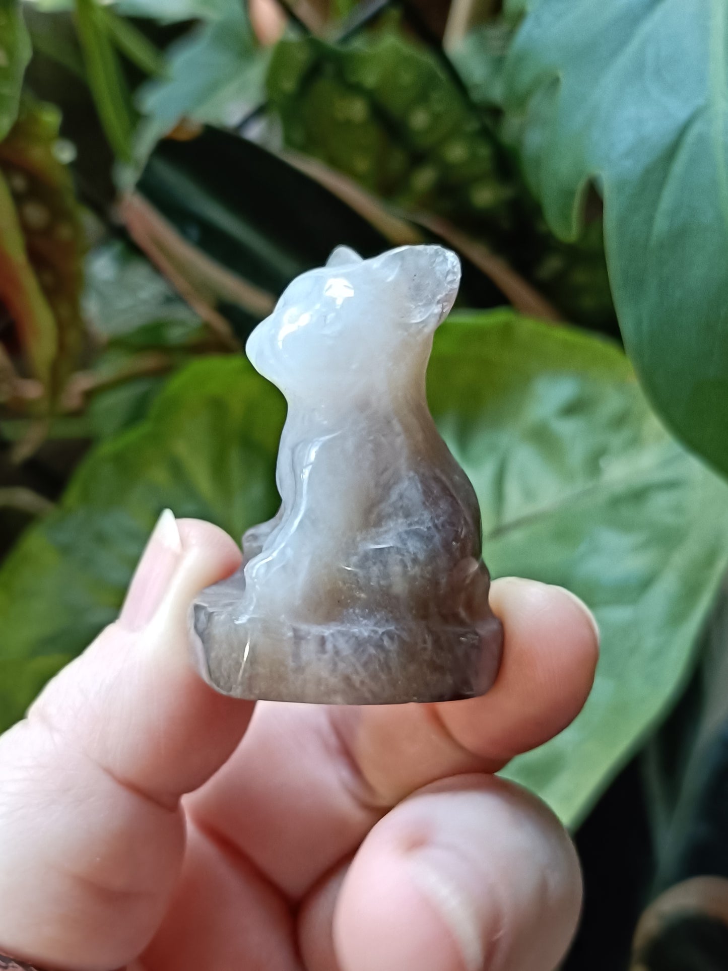 Agate Mini French Bulldog Carving - 30-35g