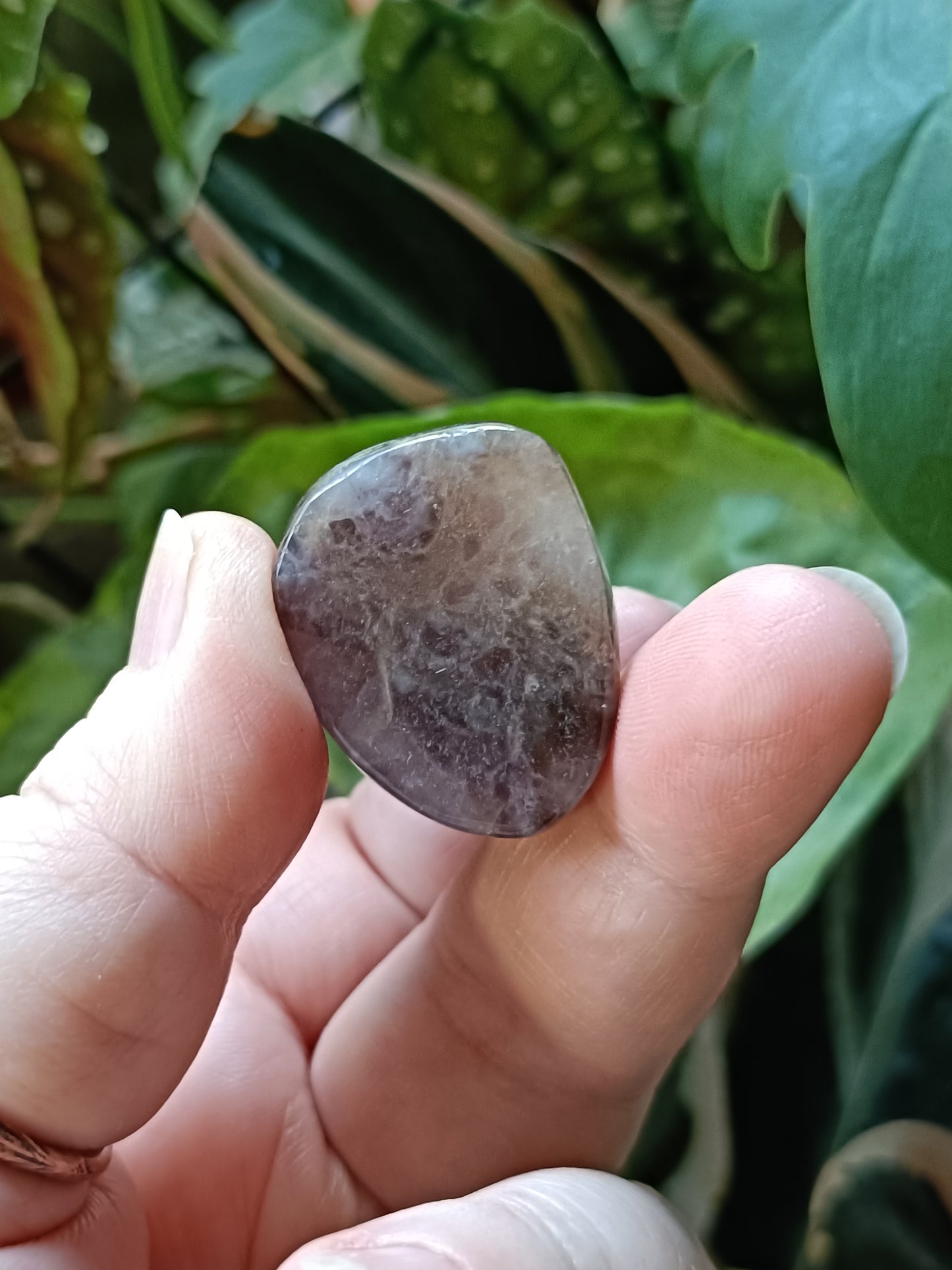 Agate Mini French Bulldog Carving - 30-35g