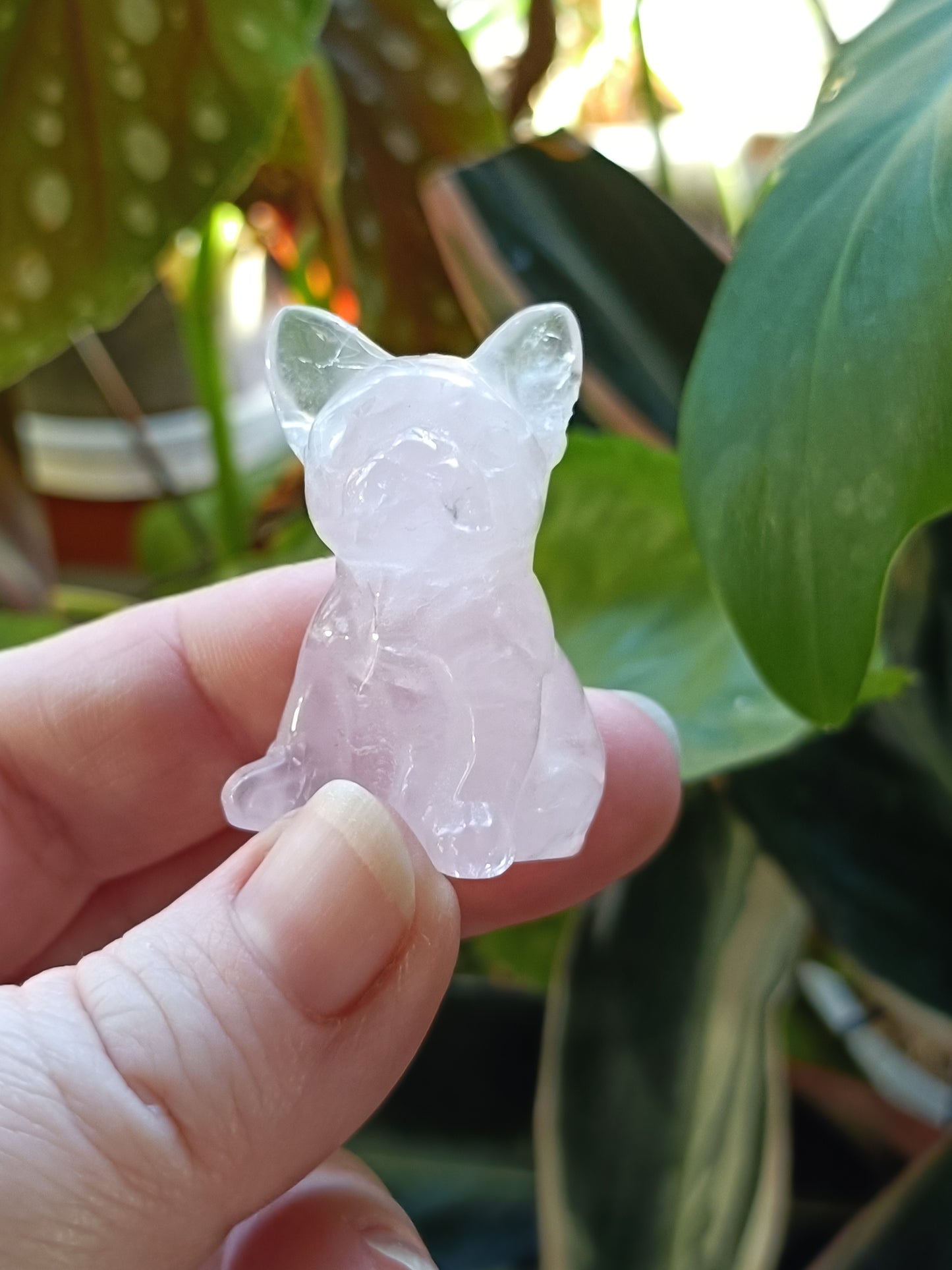 Rose Quartz Mini French Bulldog Carving - 25-30g
