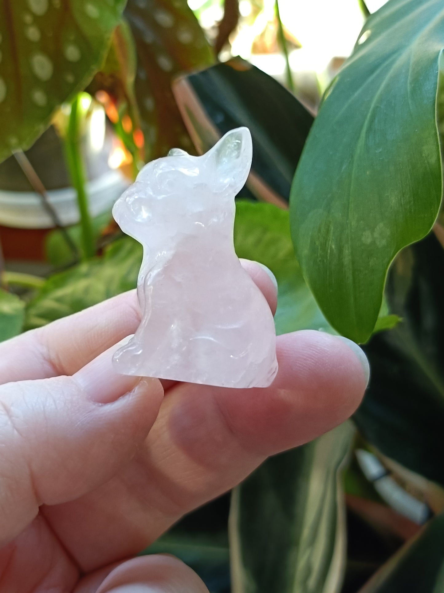 Rose Quartz Mini French Bulldog Carving - 25-30g