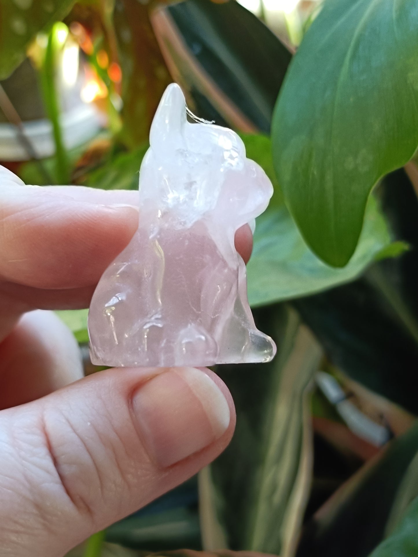 Rose Quartz Mini French Bulldog Carving - 25-30g