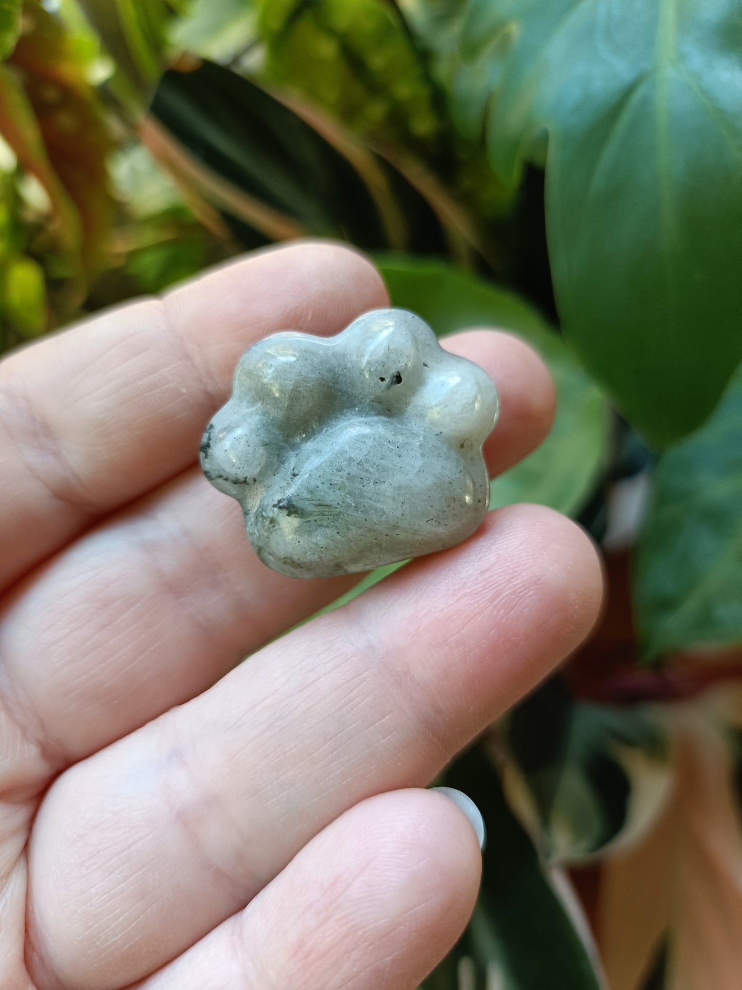 Mixed Stone Mini Cat Paw Carving - 15g