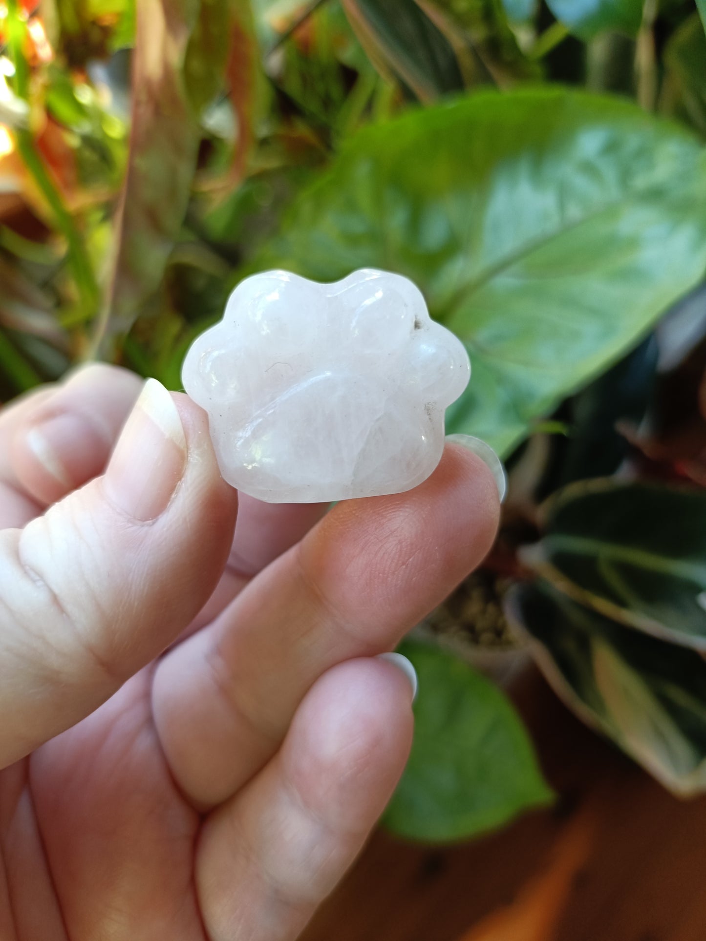 Mixed Stone Mini Cat Paw Carving - 15g