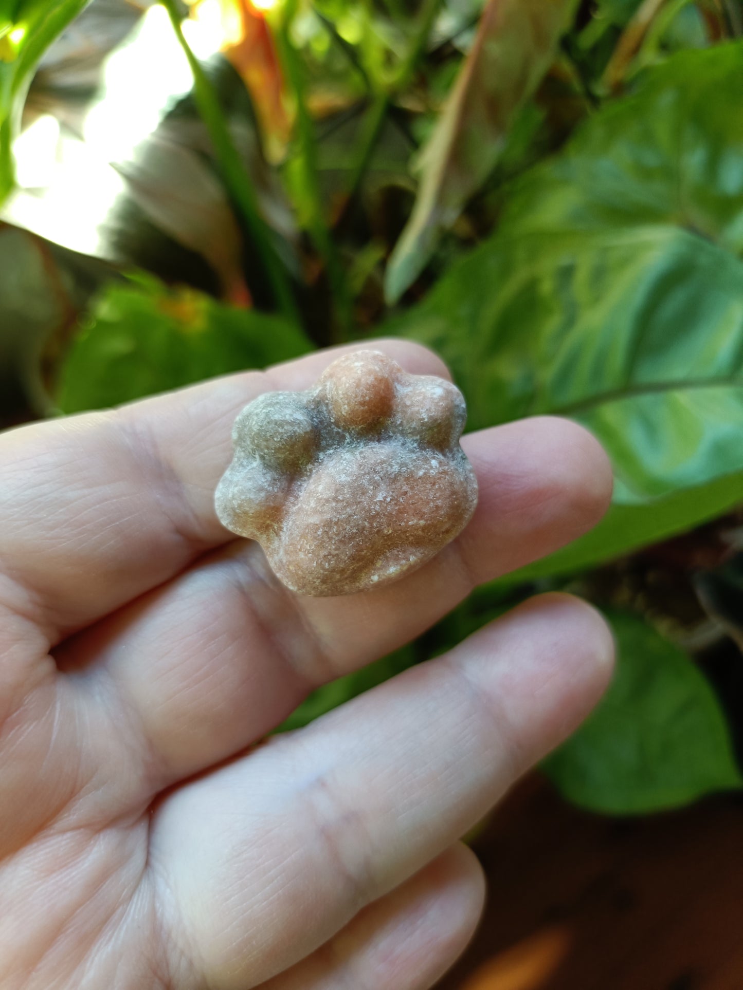 Mixed Stone Mini Cat Paw Carving - 15g