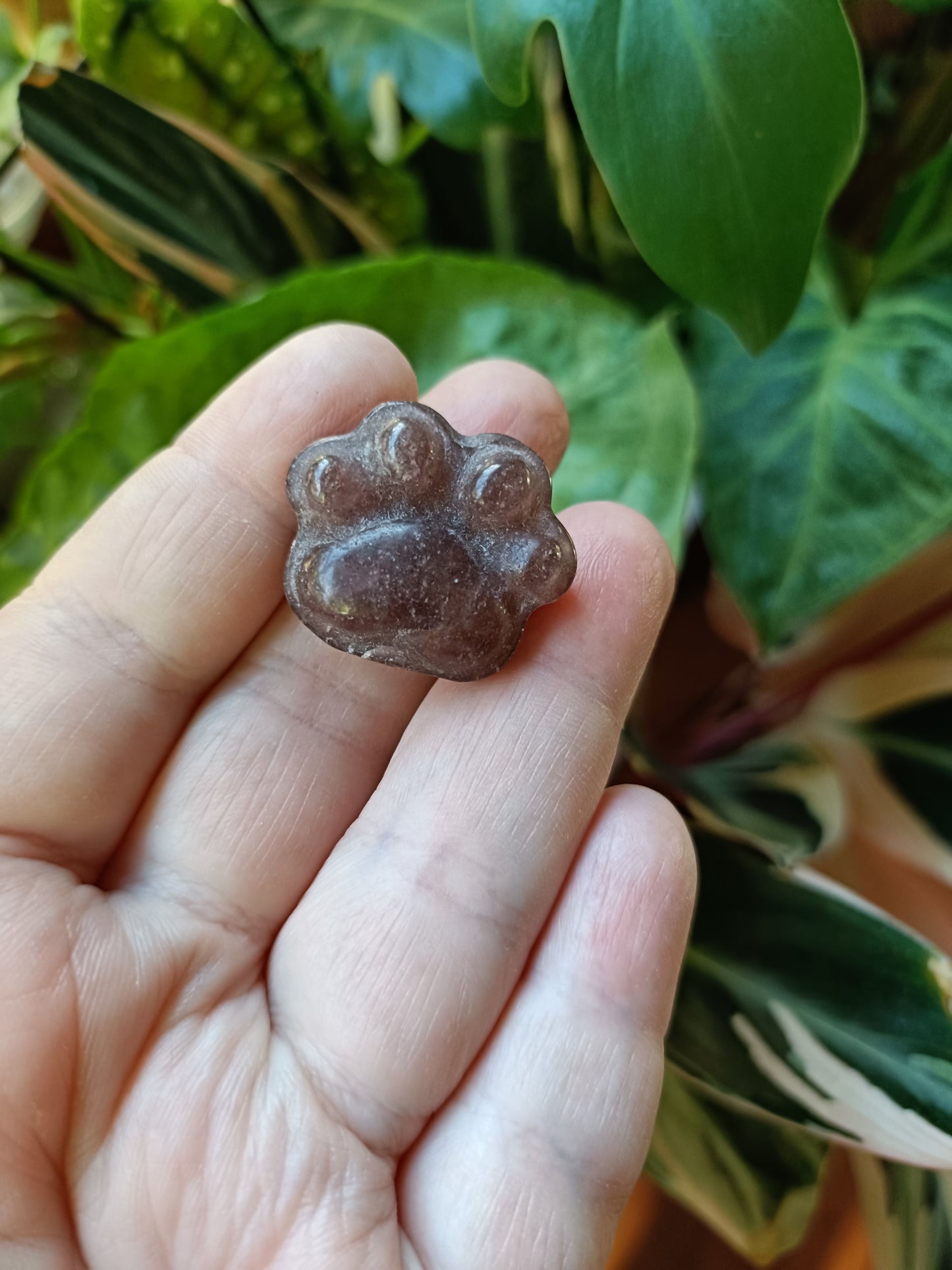 Mixed Stone Mini Cat Paw Carving - 15g