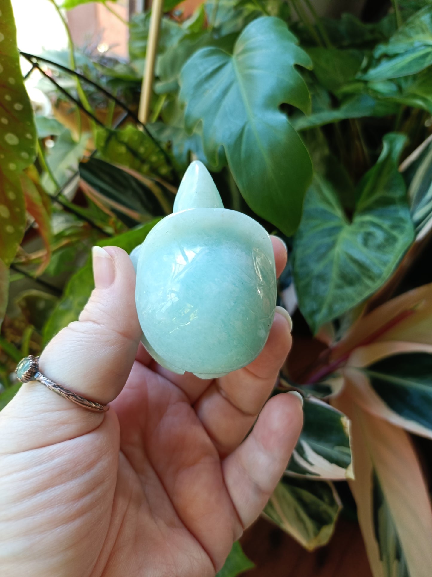 Amazonite Turtle Carvings - 85g