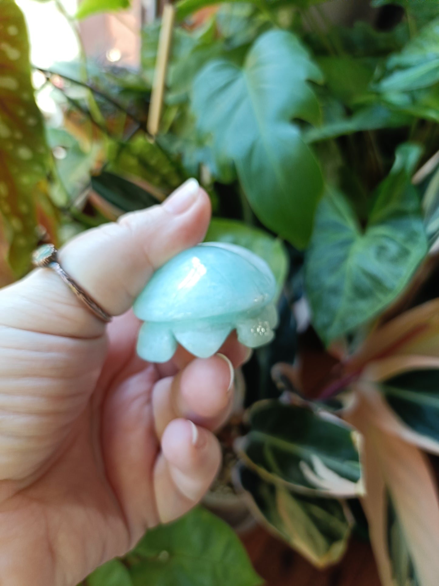 Amazonite Turtle Carvings - 85g