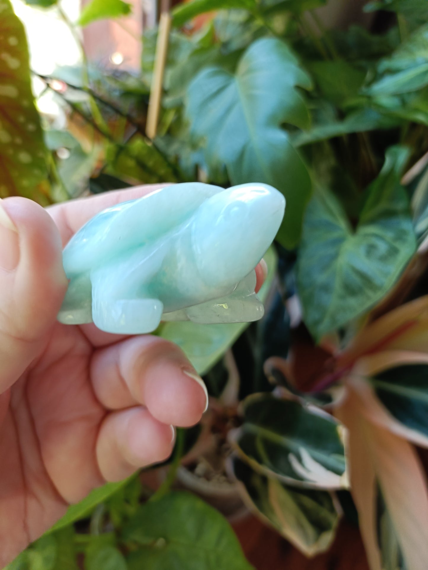 Amazonite Turtle Carvings - 85g