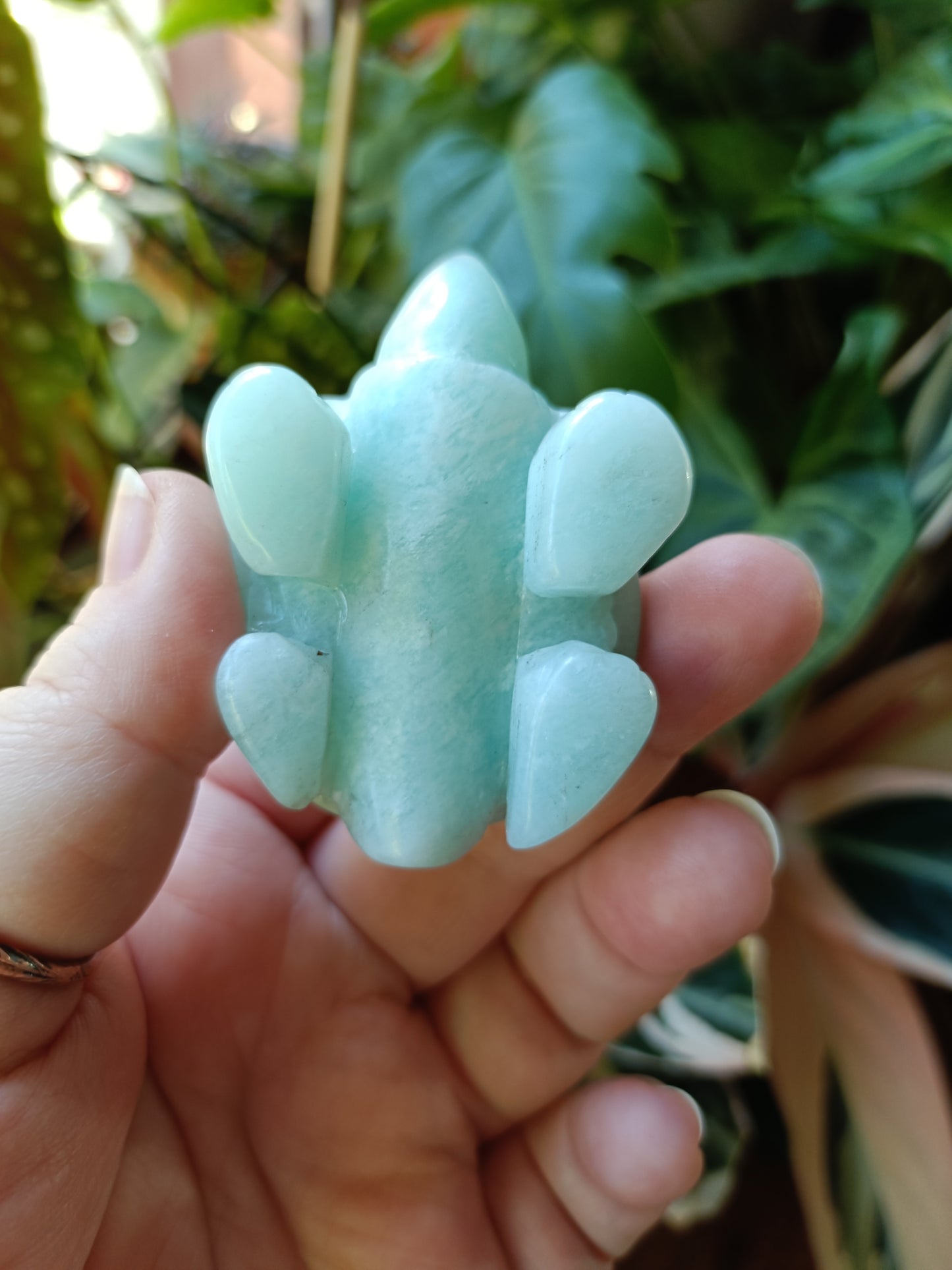 Amazonite Turtle Carvings - 85g