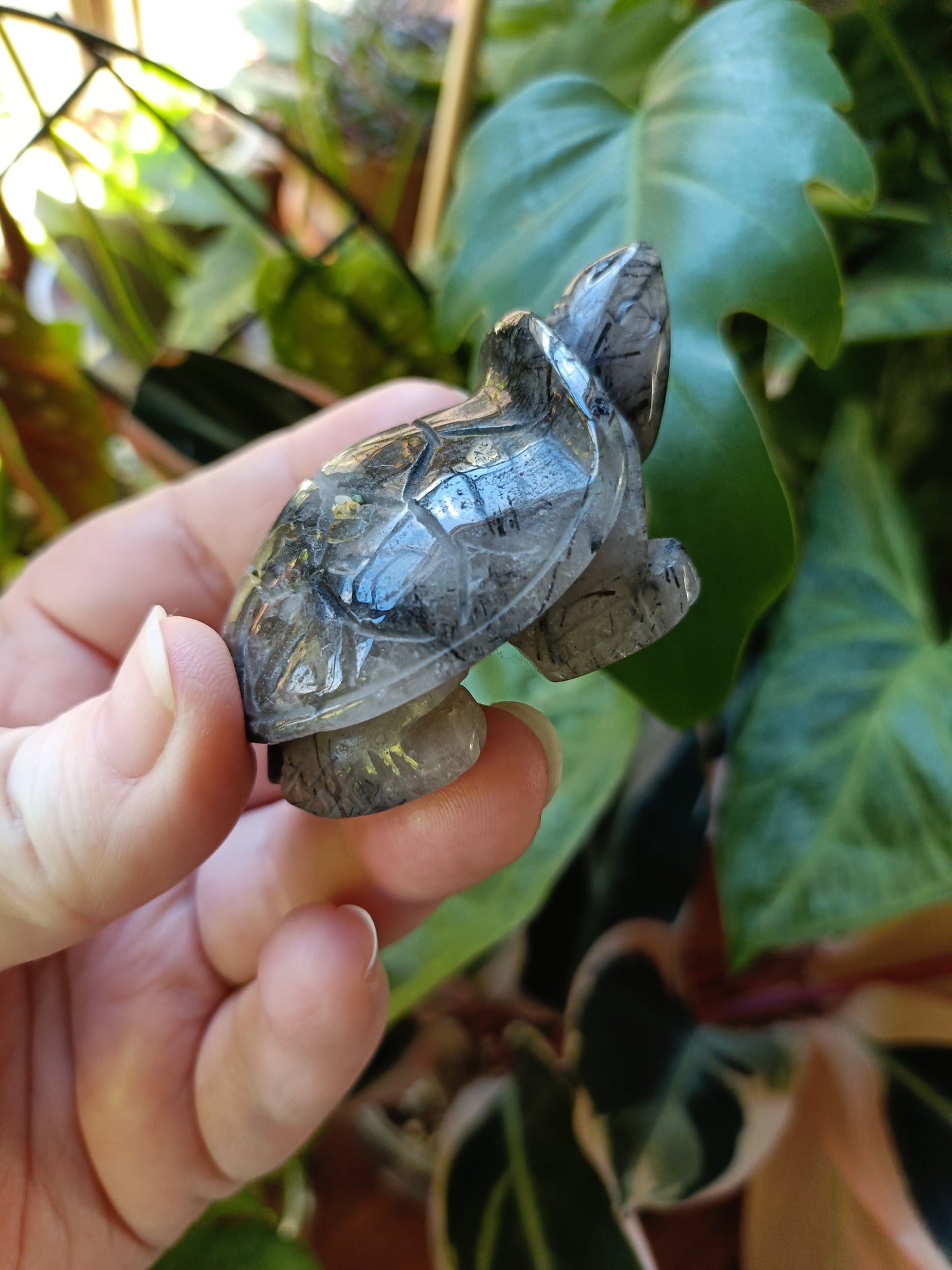 Black Tourmaline in Quartz Turtle - 75g