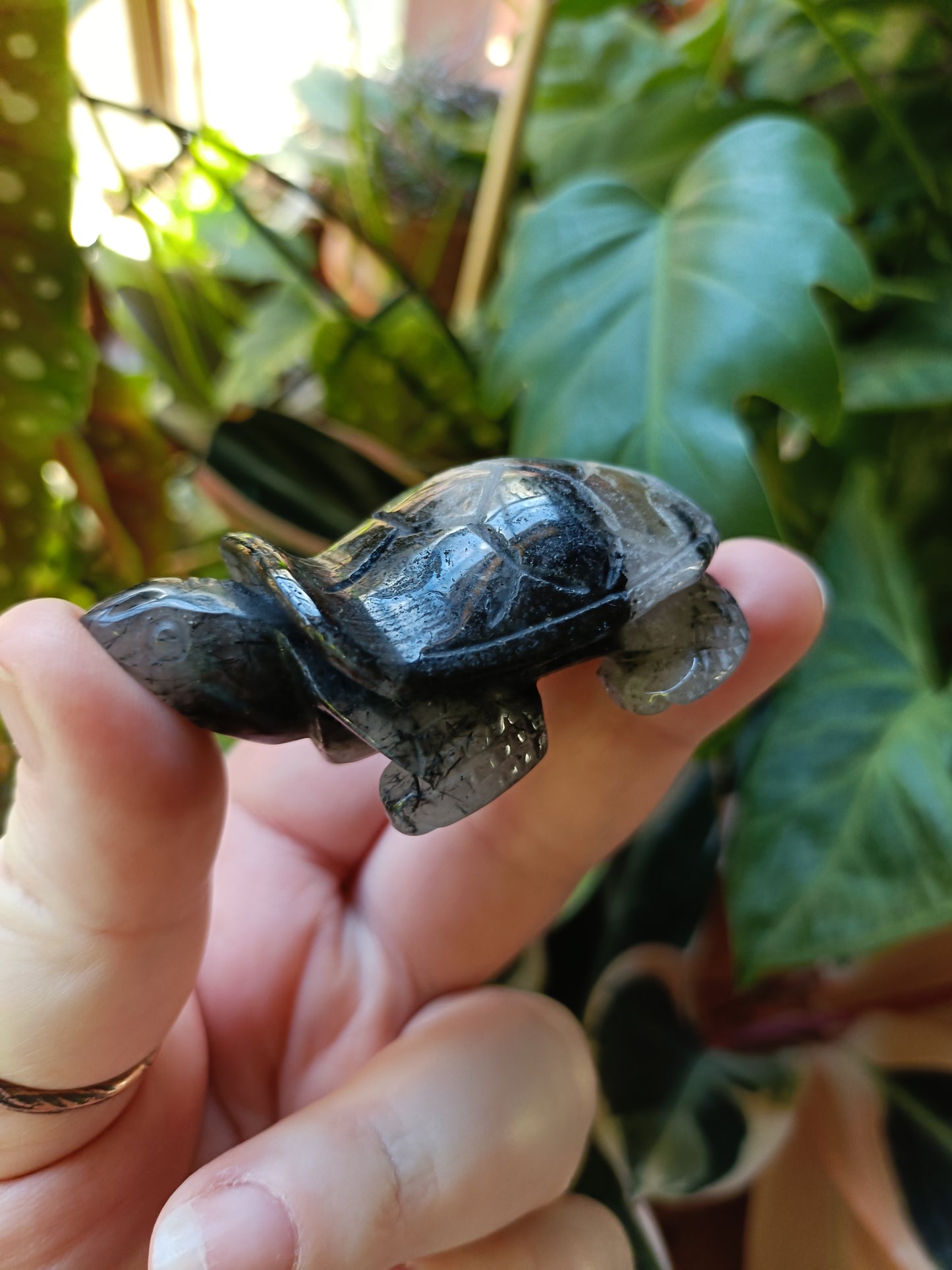 Black Tourmaline in Quartz Turtle - 75g