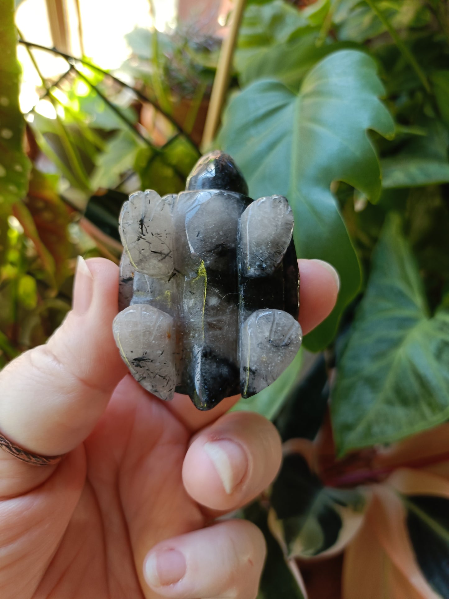 Black Tourmaline in Quartz Turtle - 75g