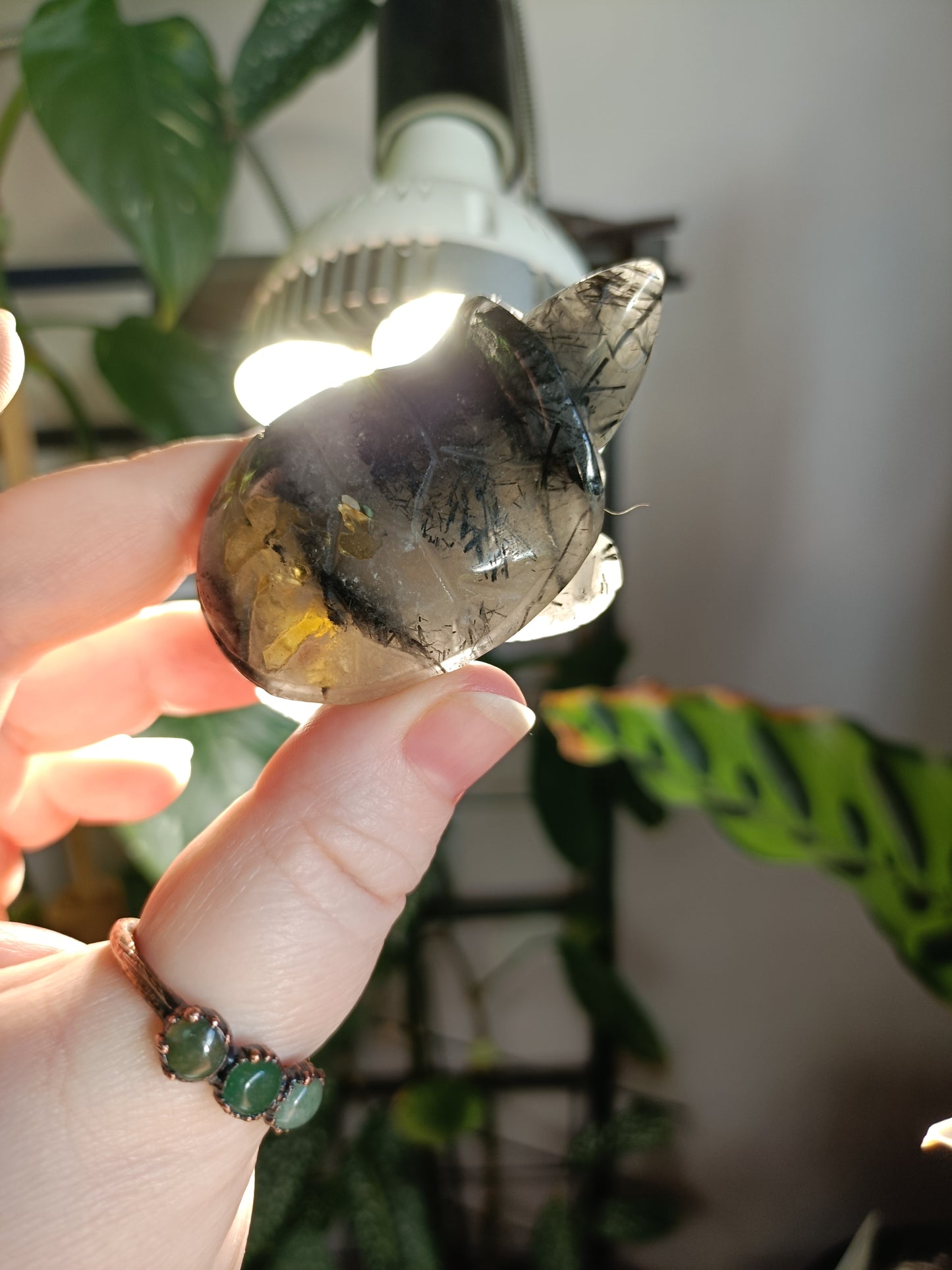 Black Tourmaline in Quartz Turtle - 75g