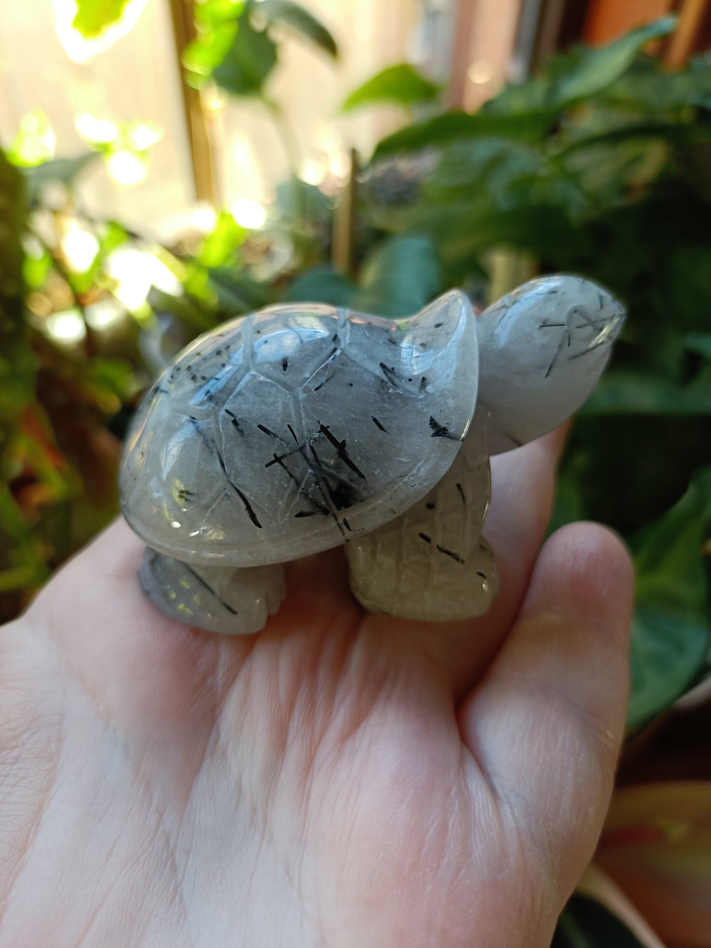 Black Tourmaline in Quartz Turtle - 115g