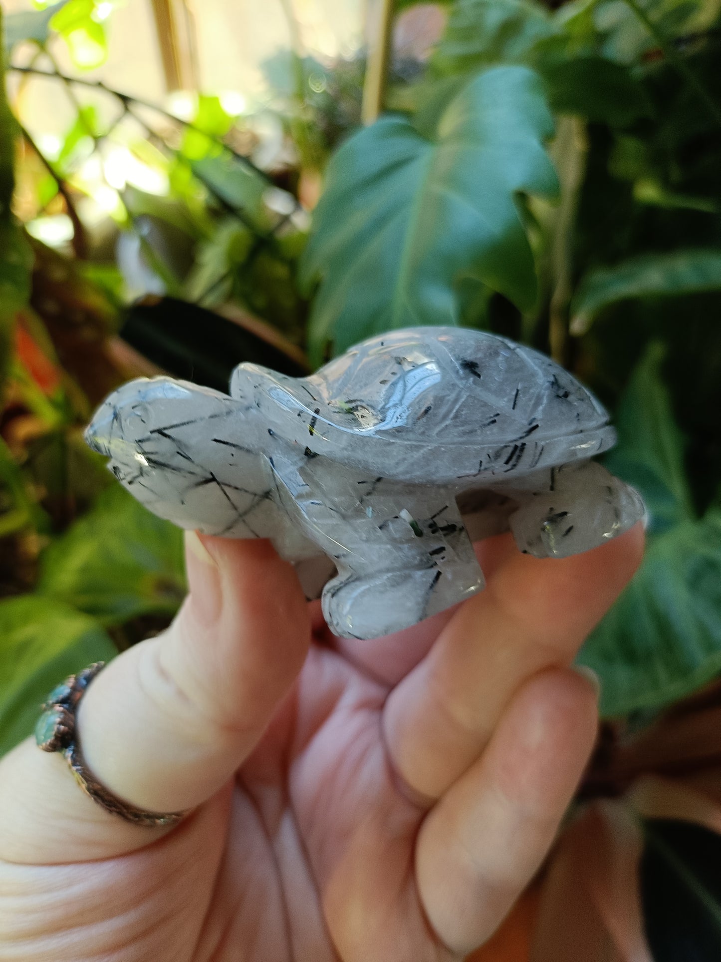Black Tourmaline in Quartz Turtle - 115g