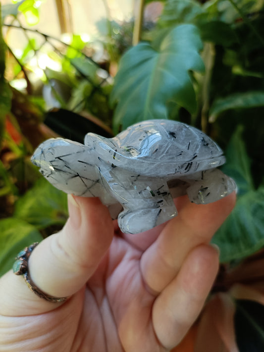 Black Tourmaline in Quartz Turtle - 115g