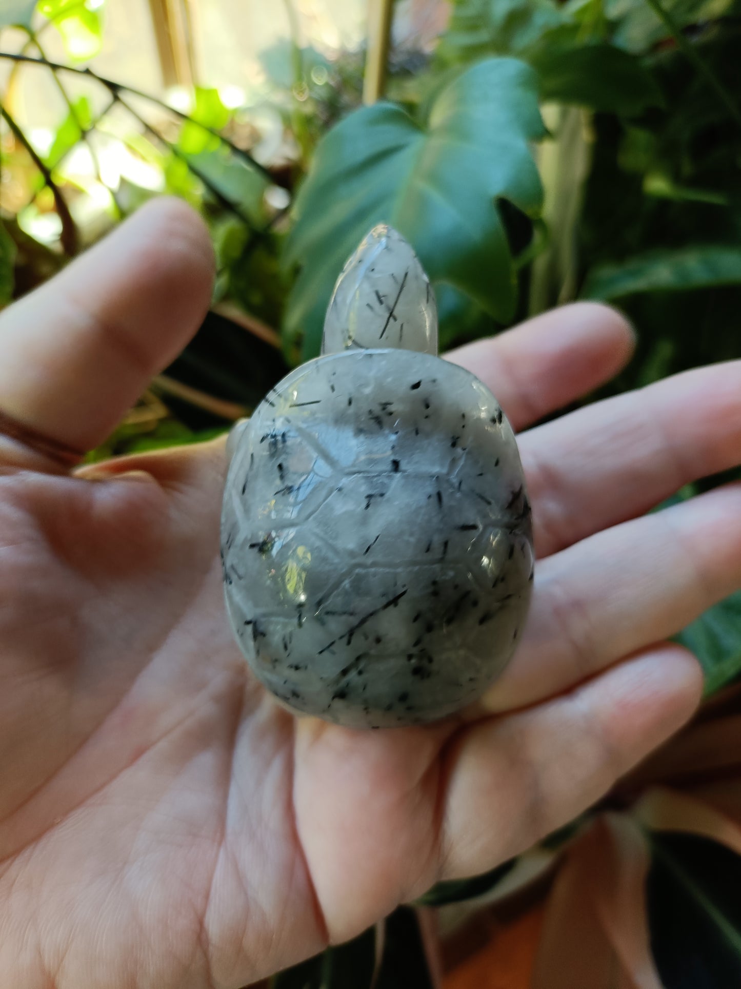 Black Tourmaline in Quartz Turtle - 115g