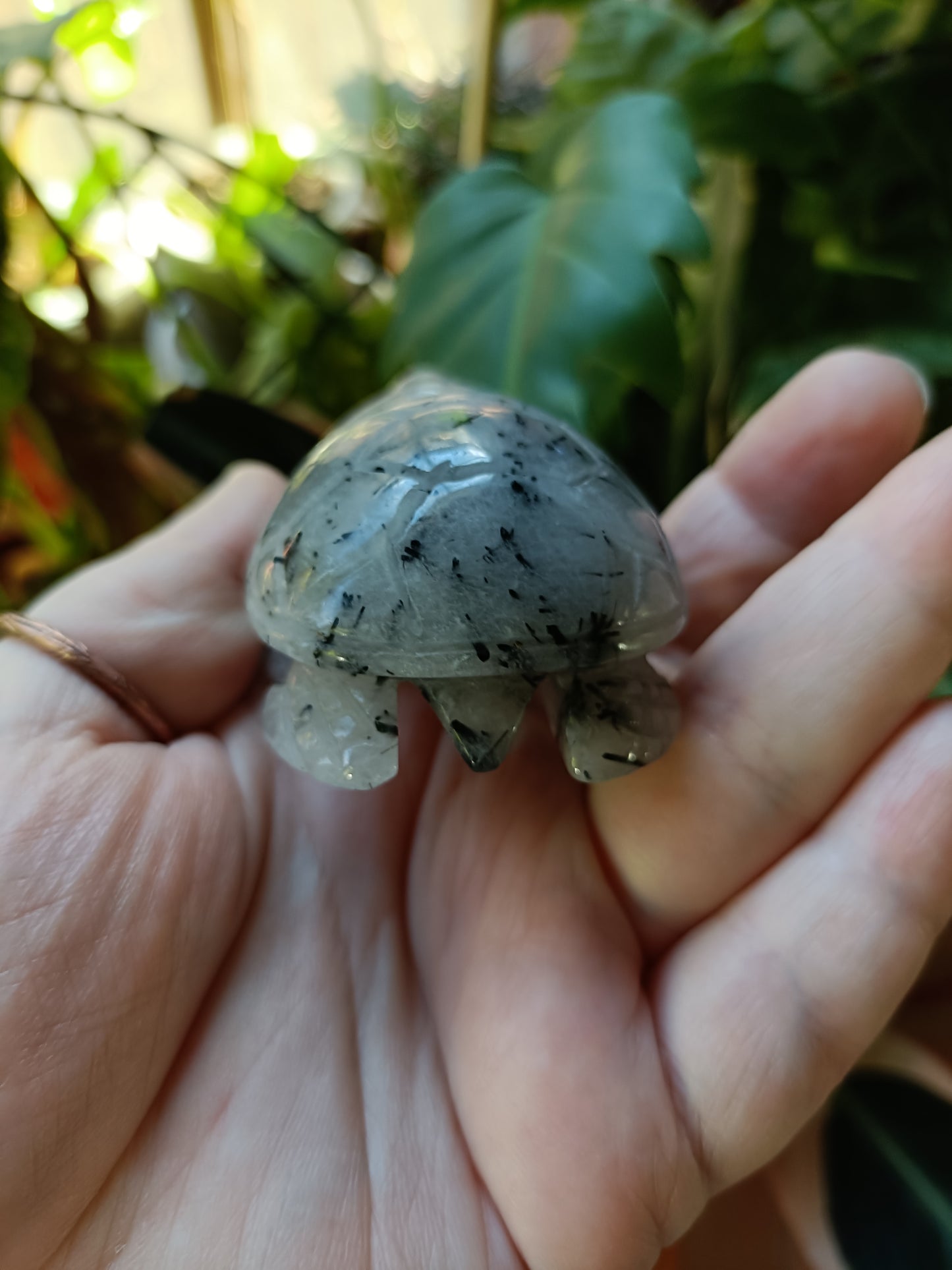Black Tourmaline in Quartz Turtle - 115g