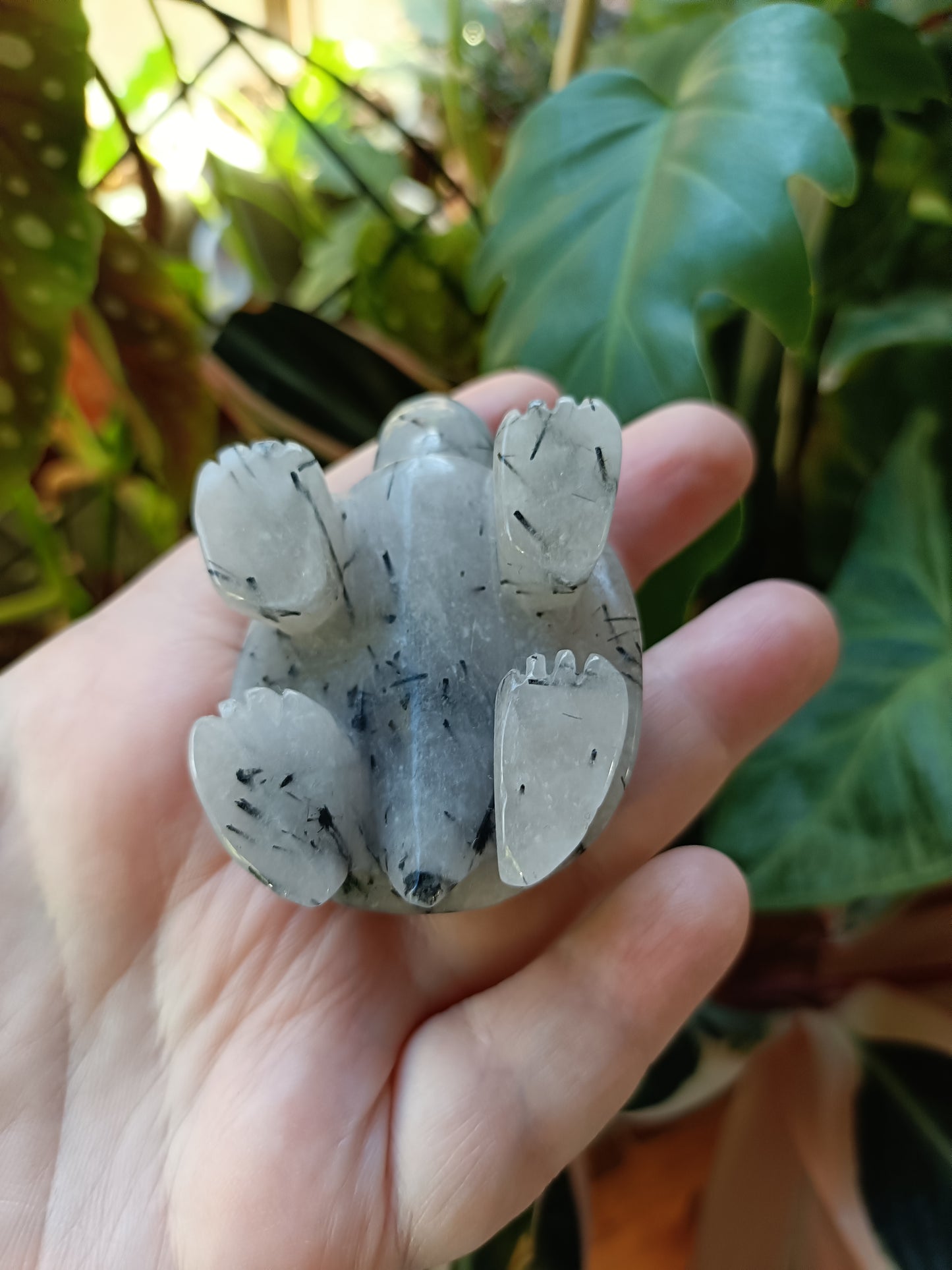 Black Tourmaline in Quartz Turtle - 115g