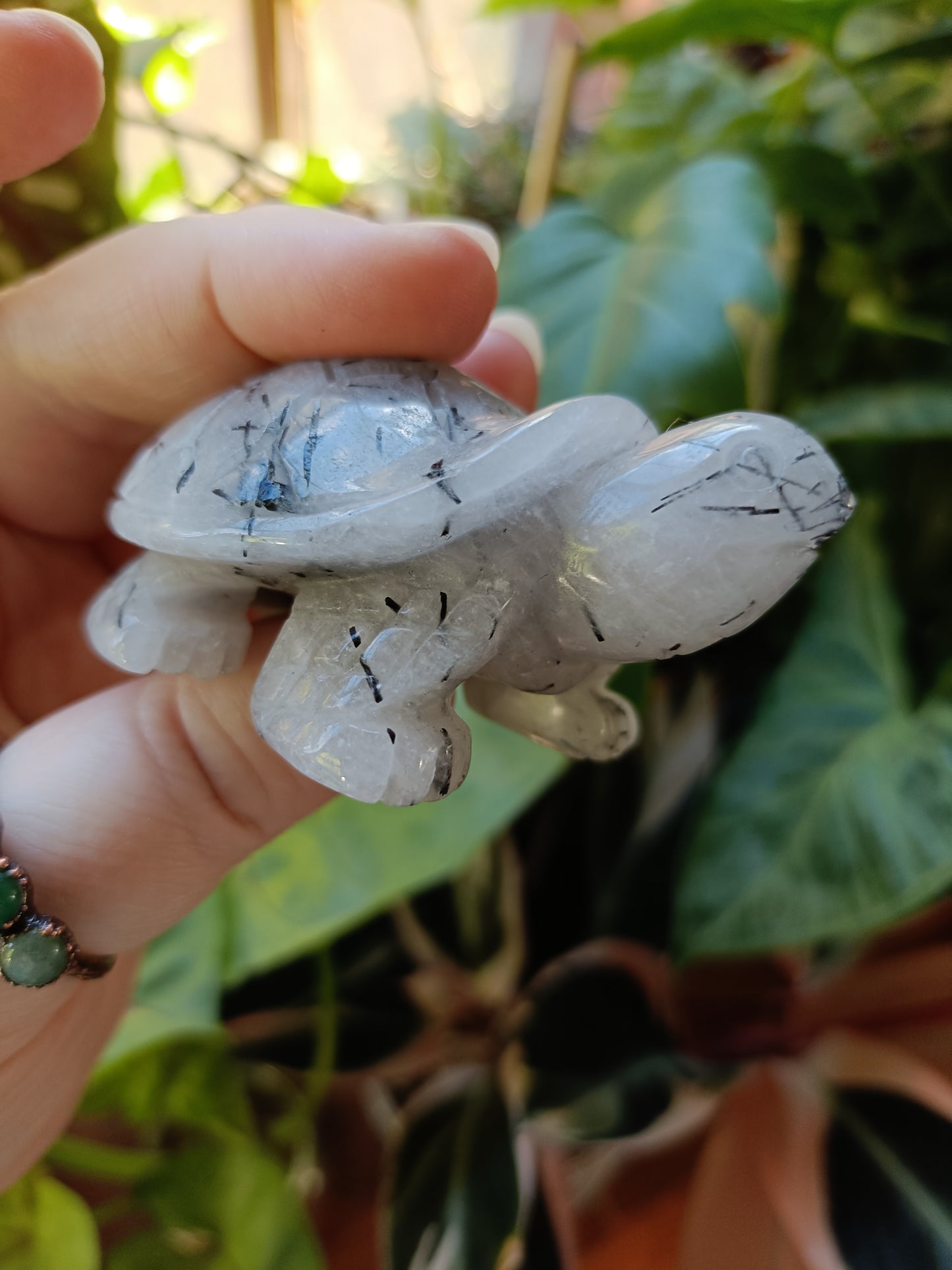 Black Tourmaline in Quartz Turtle - 115g