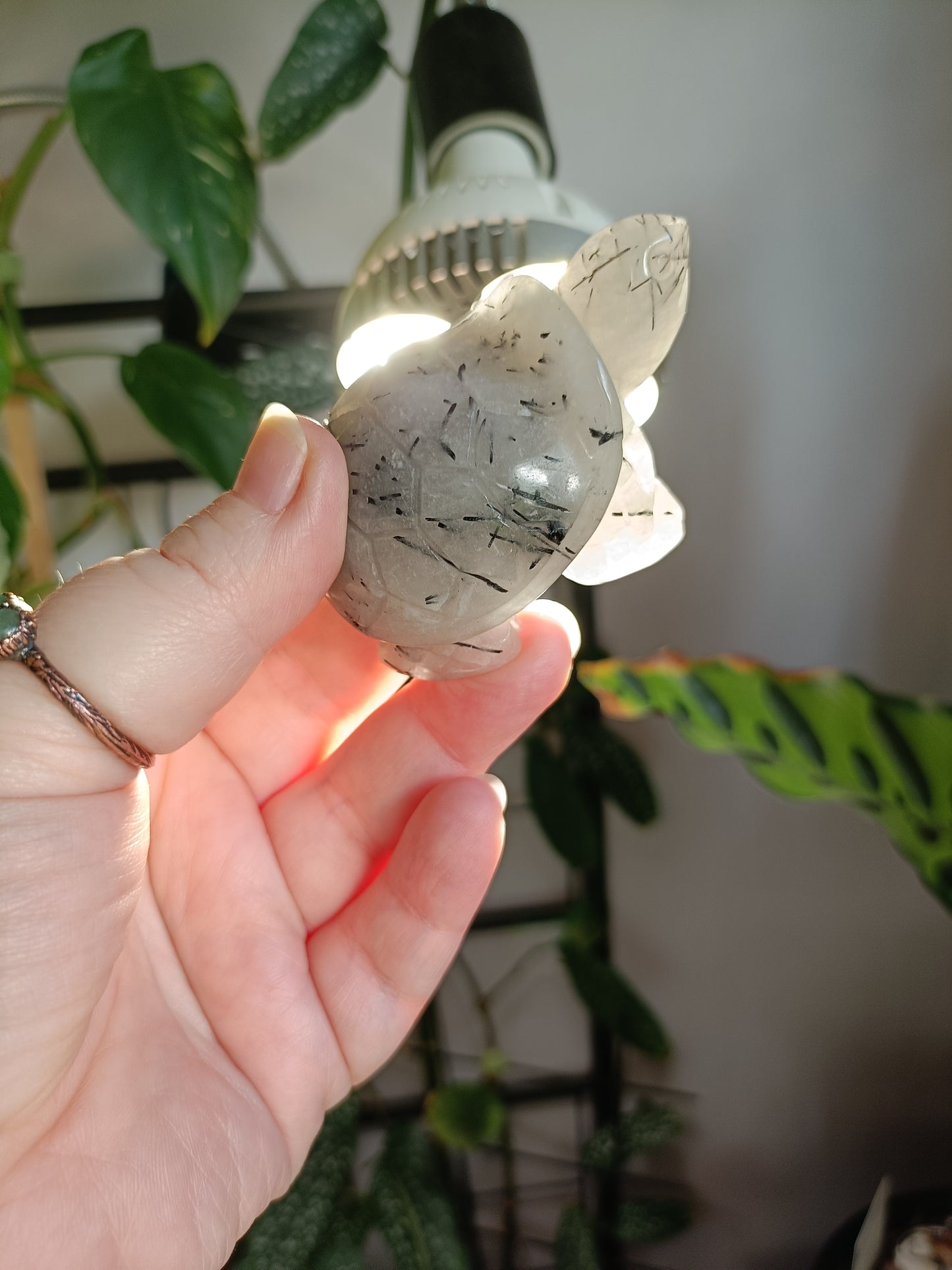 Black Tourmaline in Quartz Turtle - 115g