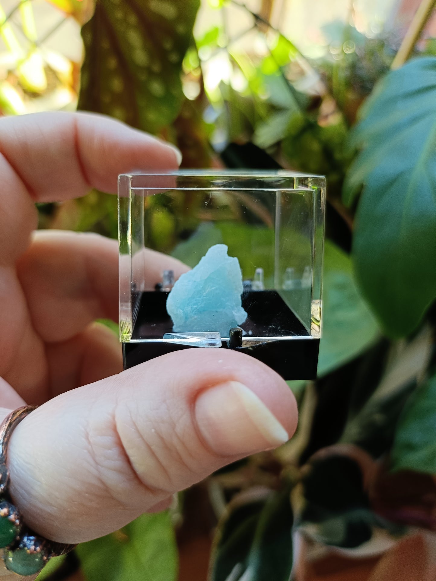 Mini Specimen Boxes