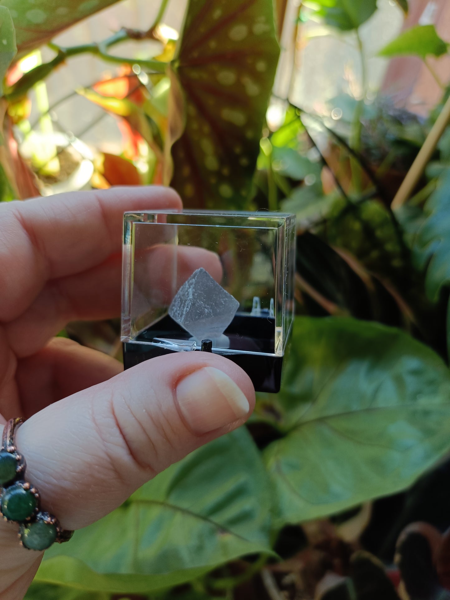 Mini Specimen Boxes