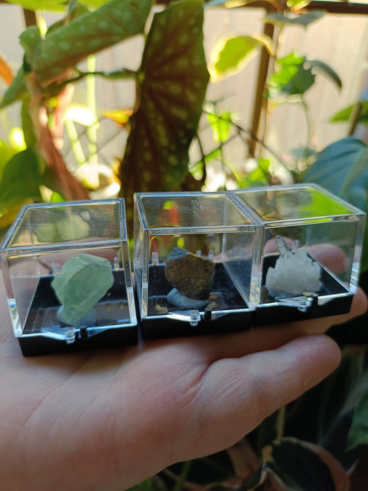 Mini Specimen Boxes