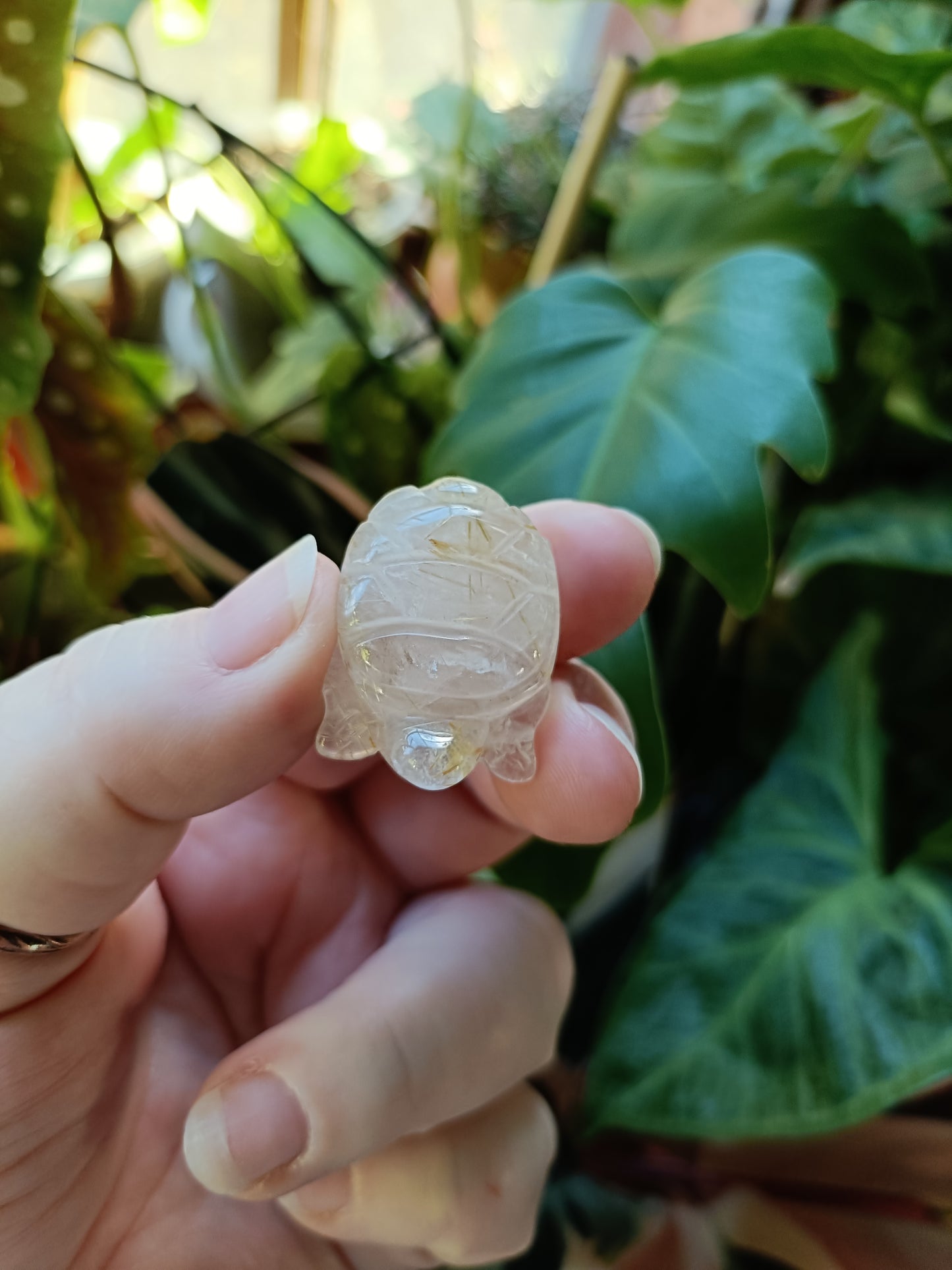 Mini Quartz with Rutile Turtle Carving - 14-23g