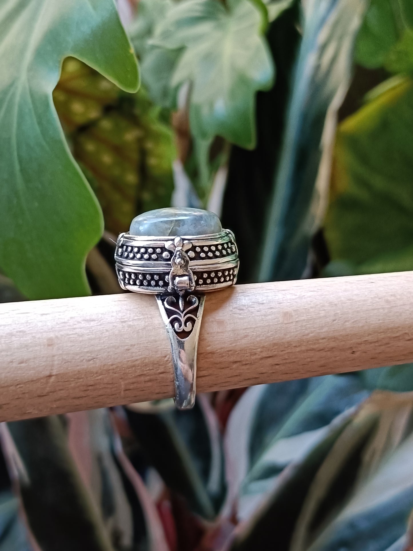 Labdradorite Poison Ring - Silver-Plated Copper