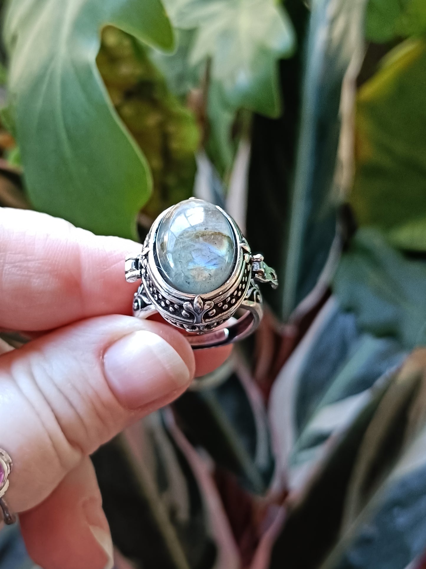 Labdradorite Poison Ring - Silver-Plated Copper