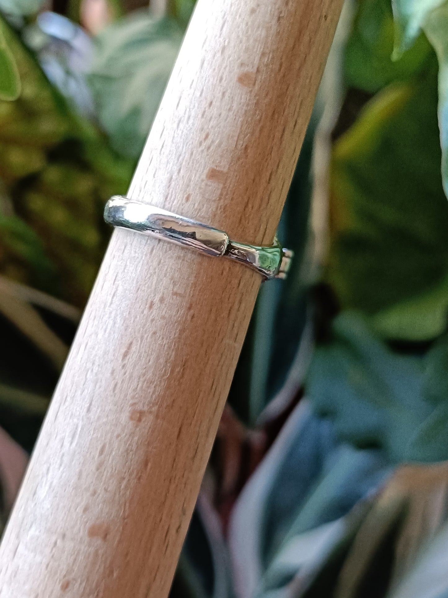 Amethyst Poison Ring - Silver-Plated Copper