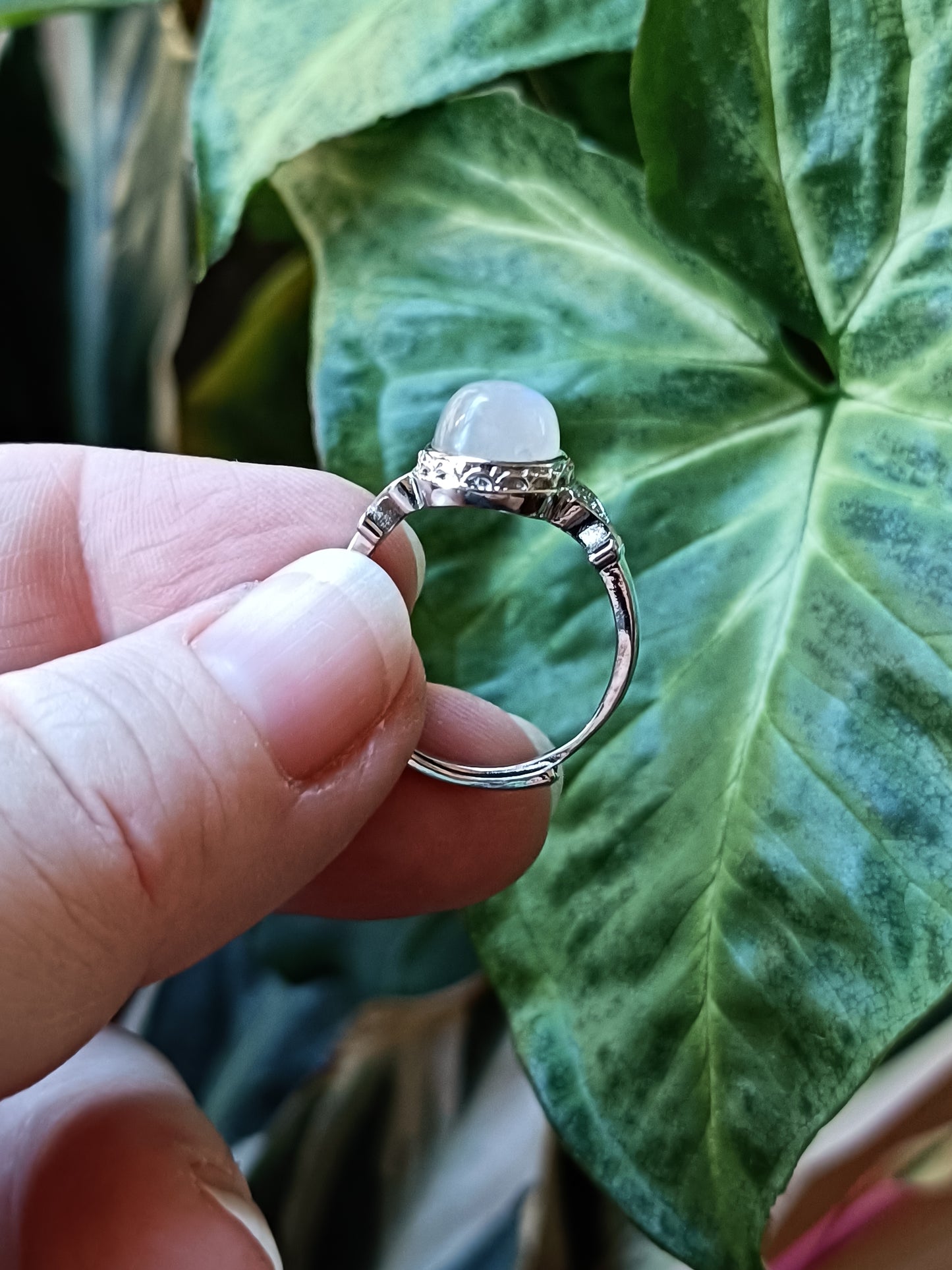 Oval Blue Flash Moonstone Ring - Silver-Plated Copper