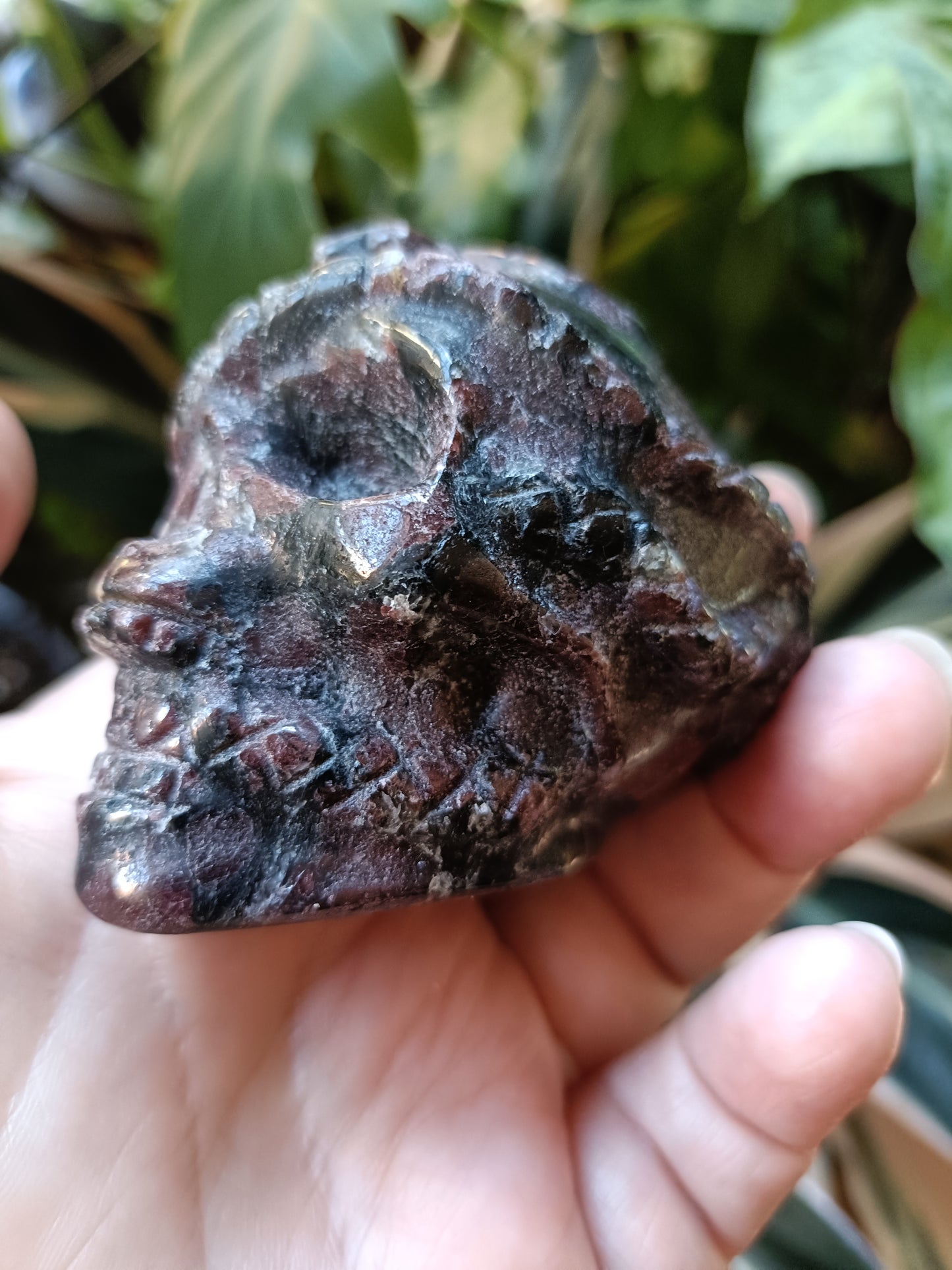 Garnet and Arfvedsonite Skull & Snake Carving - 323g
