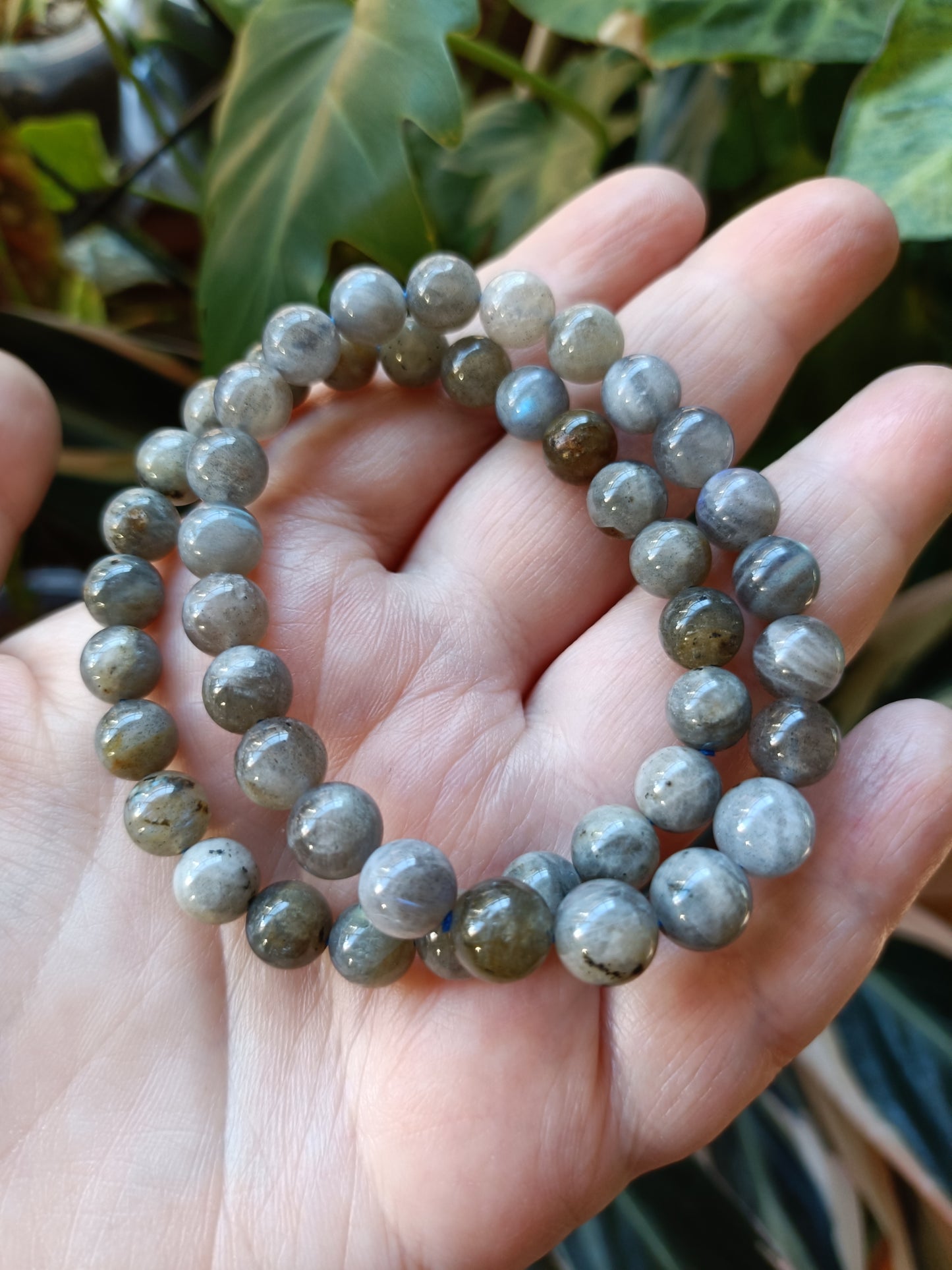 Labradorite Round Beaded Stretch Bracelet - 8mm