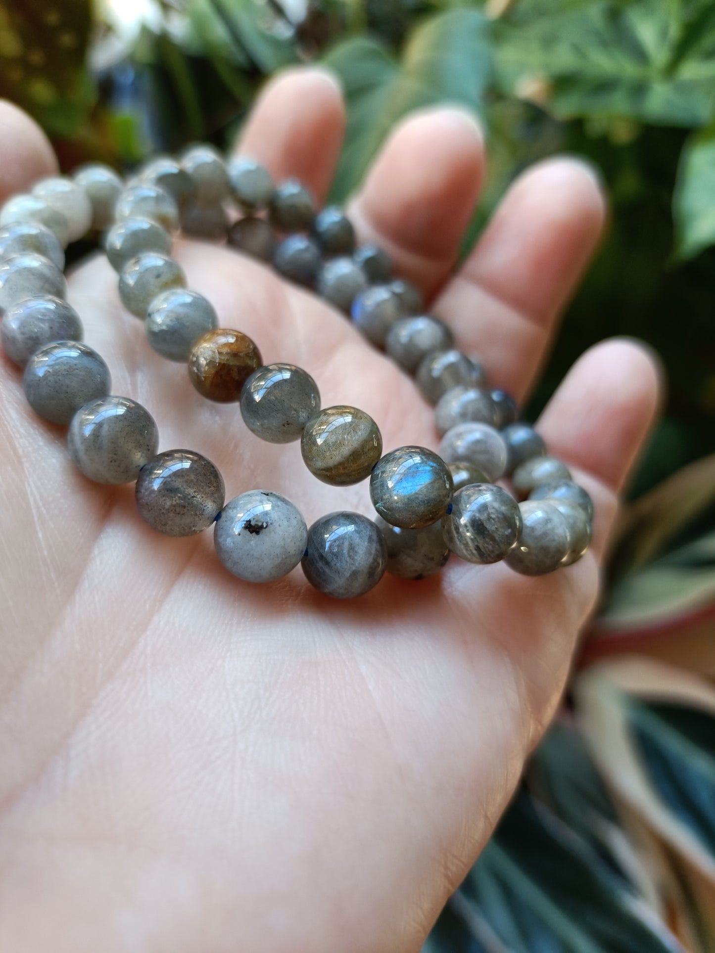 Labradorite Round Beaded Stretch Bracelet - 8mm
