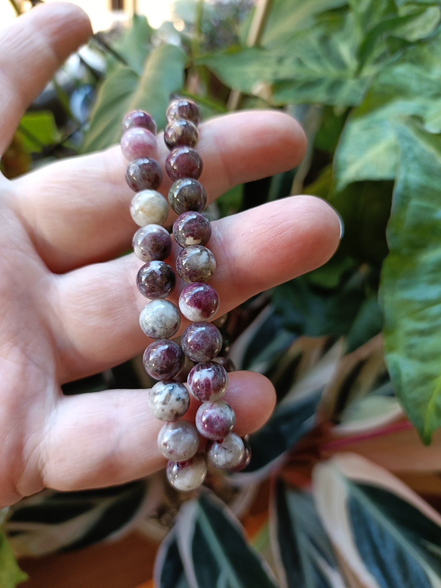 Pink Tourmaline in Quartz Round Beaded Stretch Bracelet - 8mm